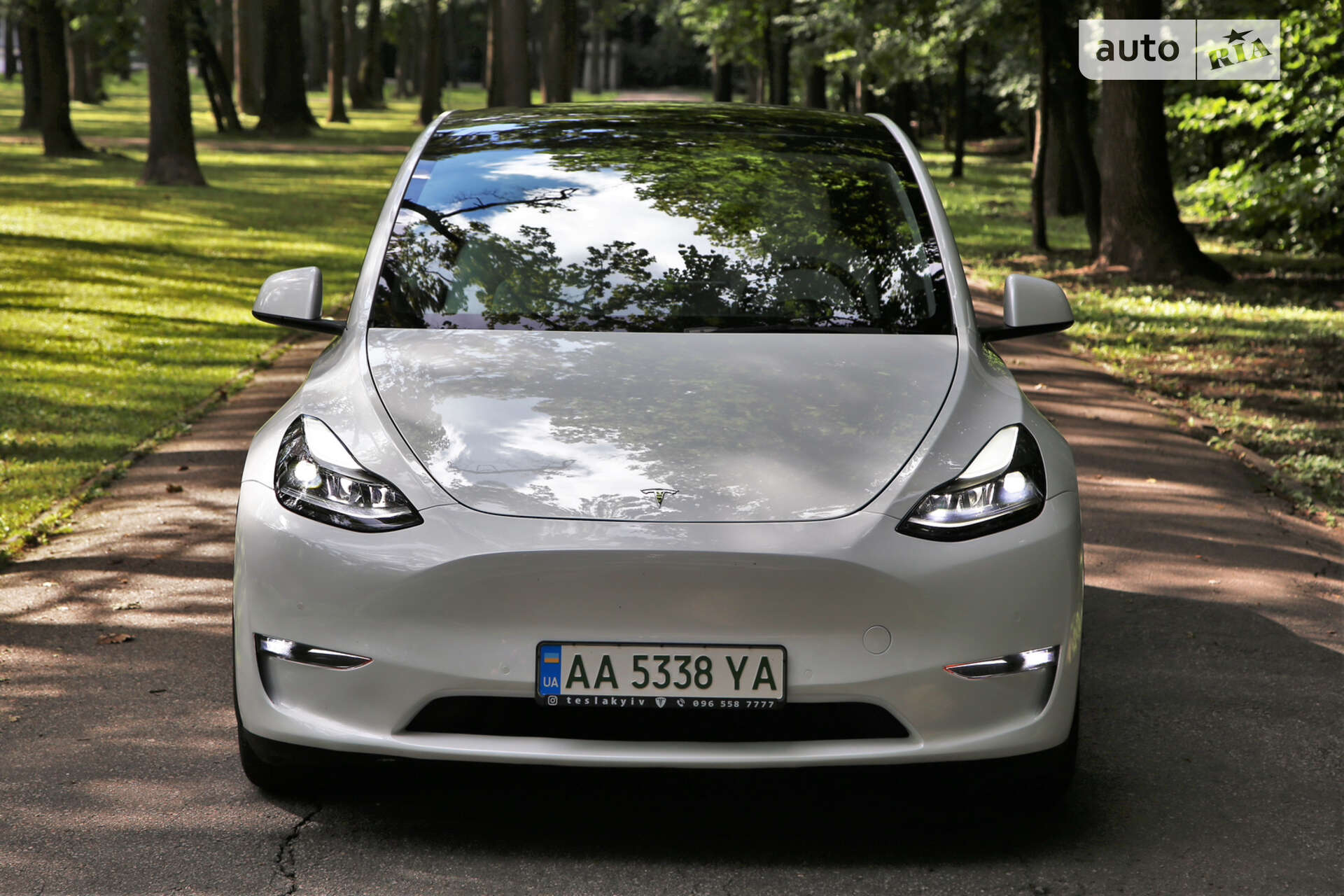 Головне фото звіту автомобіля TESLA MODEL Y 2021