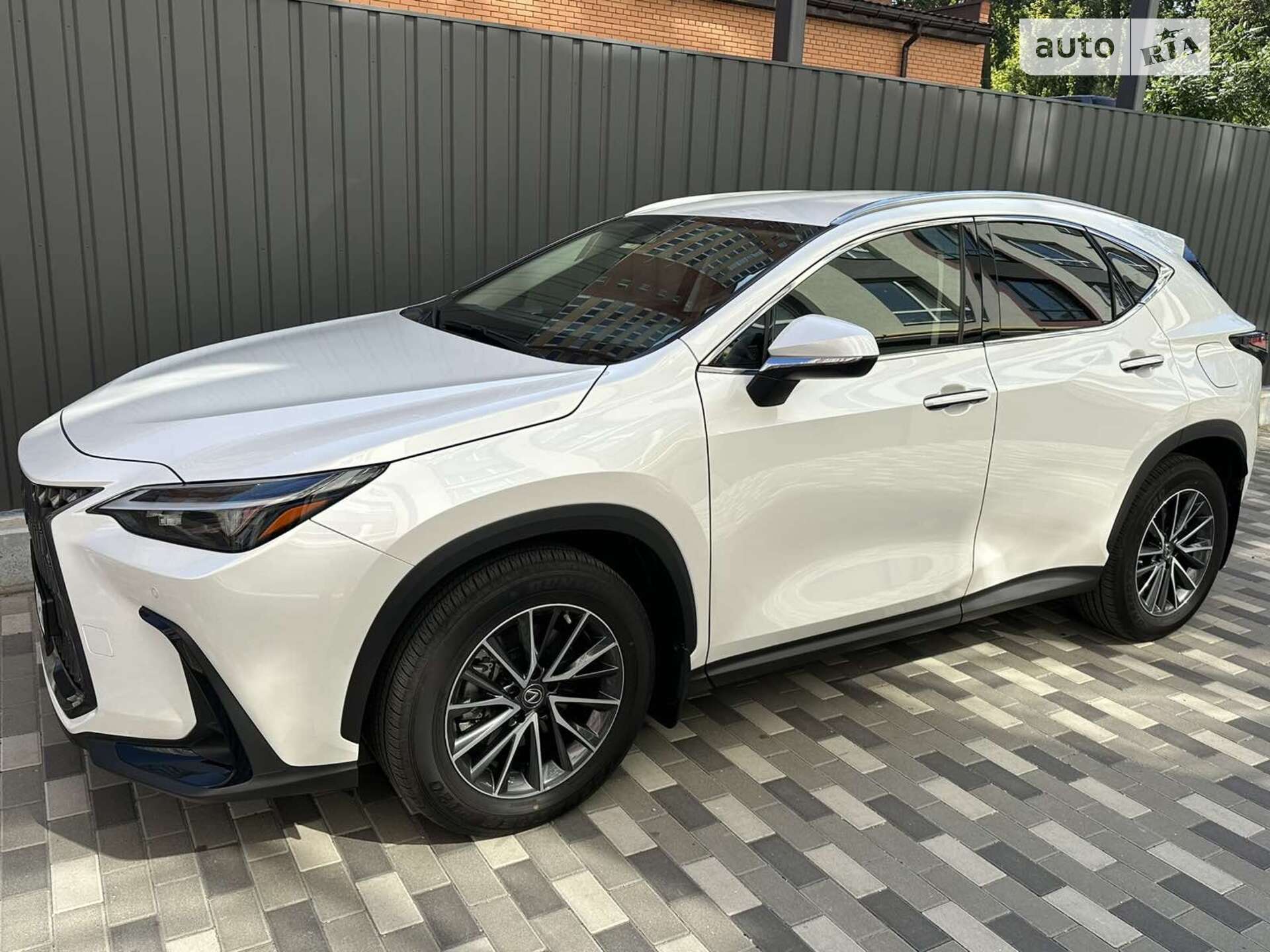 LEXUS NX 250 2022