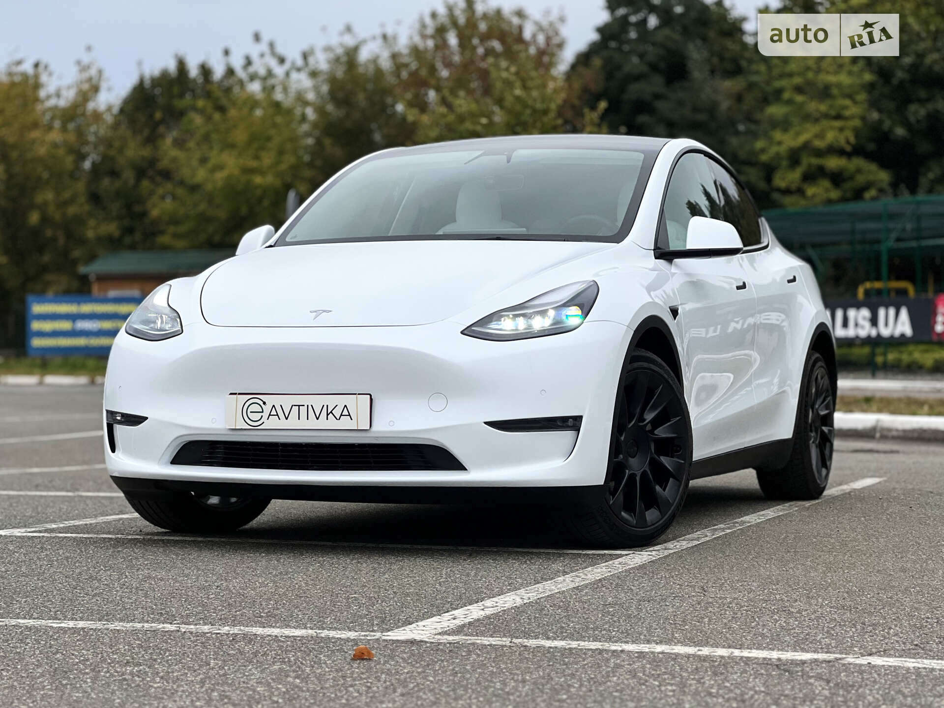 Головне фото звіту автомобіля TESLA MODEL Y 2021