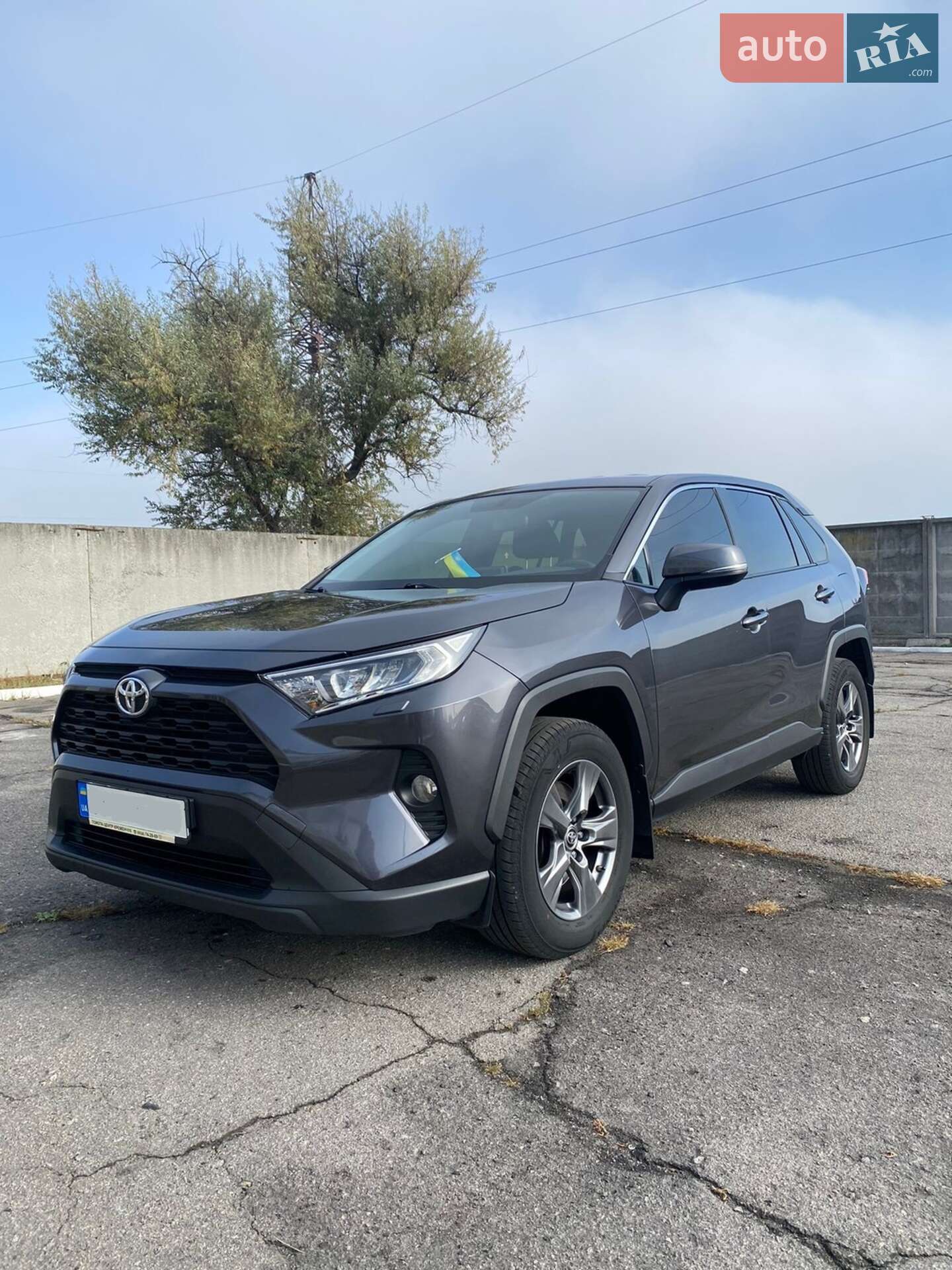 TOYOTA RAV4 2019