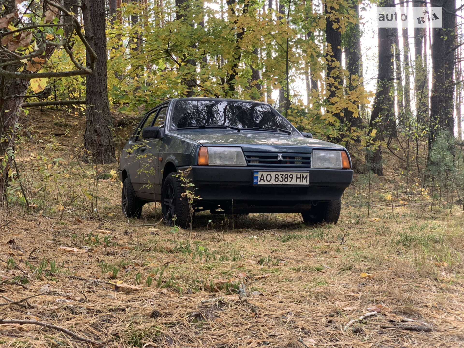 ВАЗ 21099 2004