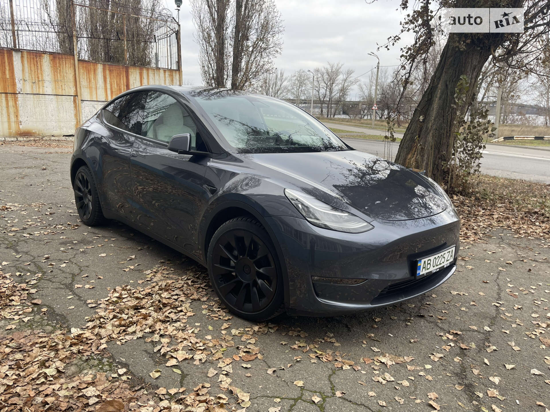 Головне фото звіту автомобіля TESLA MODEL Y 2021