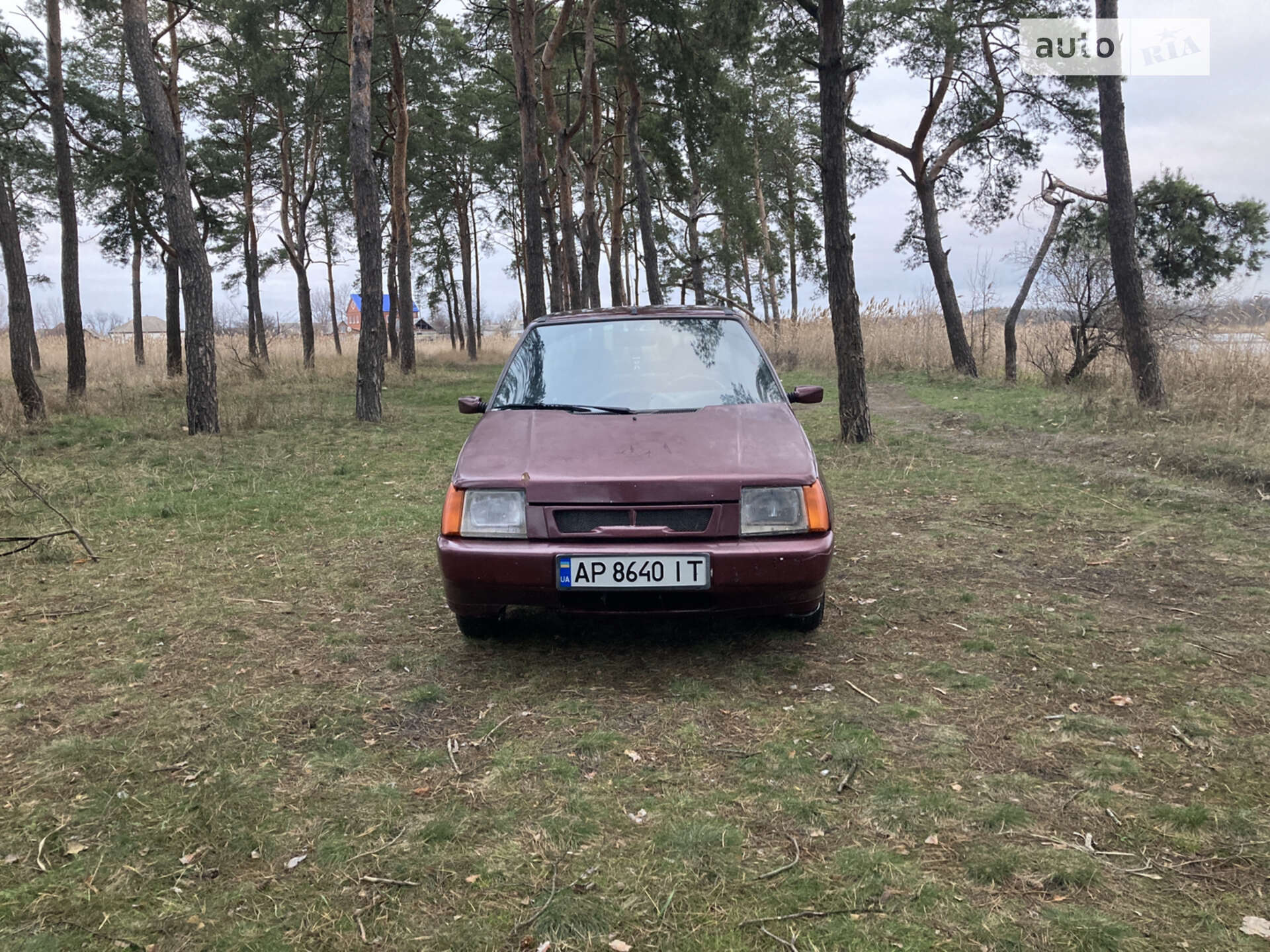 ЗАЗ 110307-40 2006