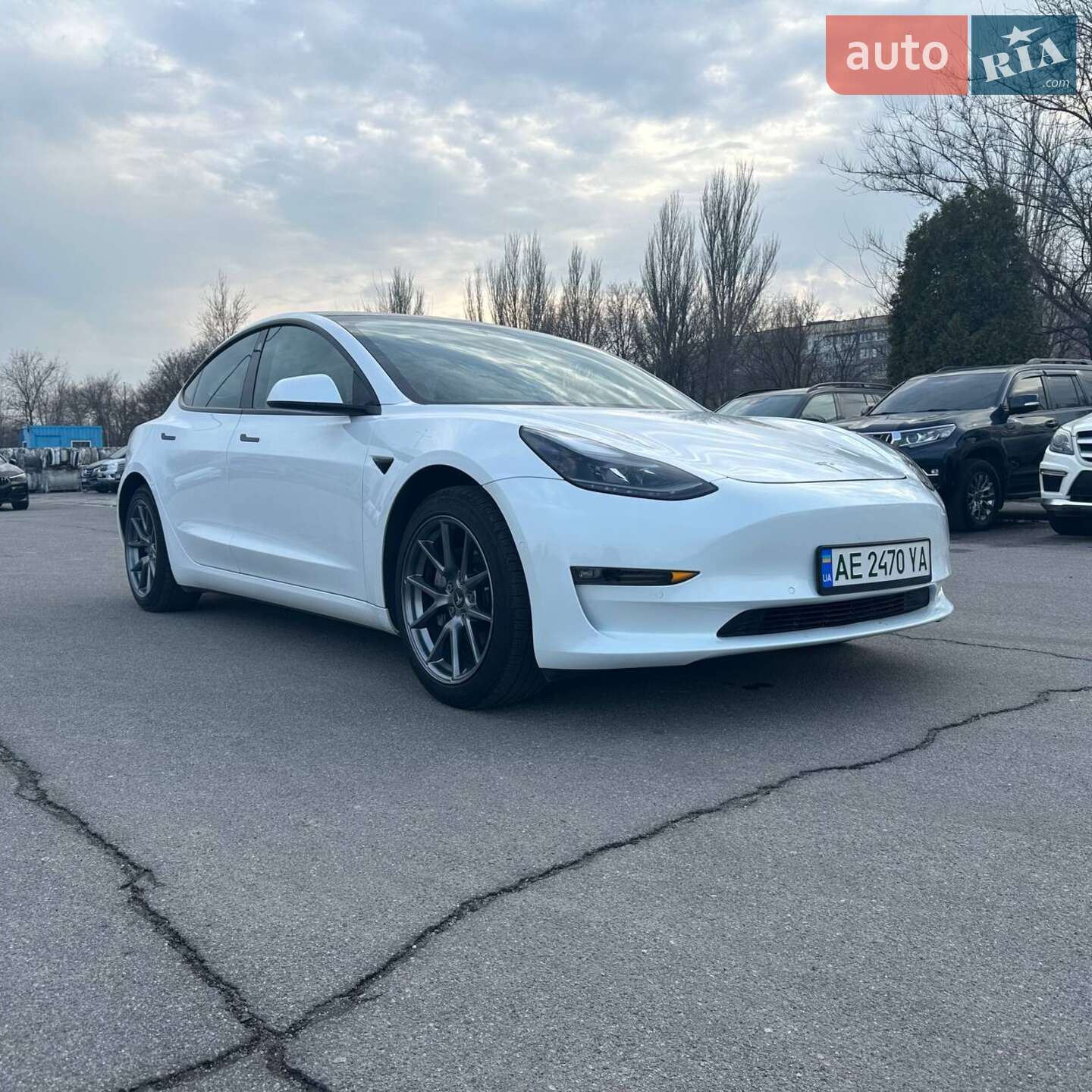 Tesla Model 3 2020