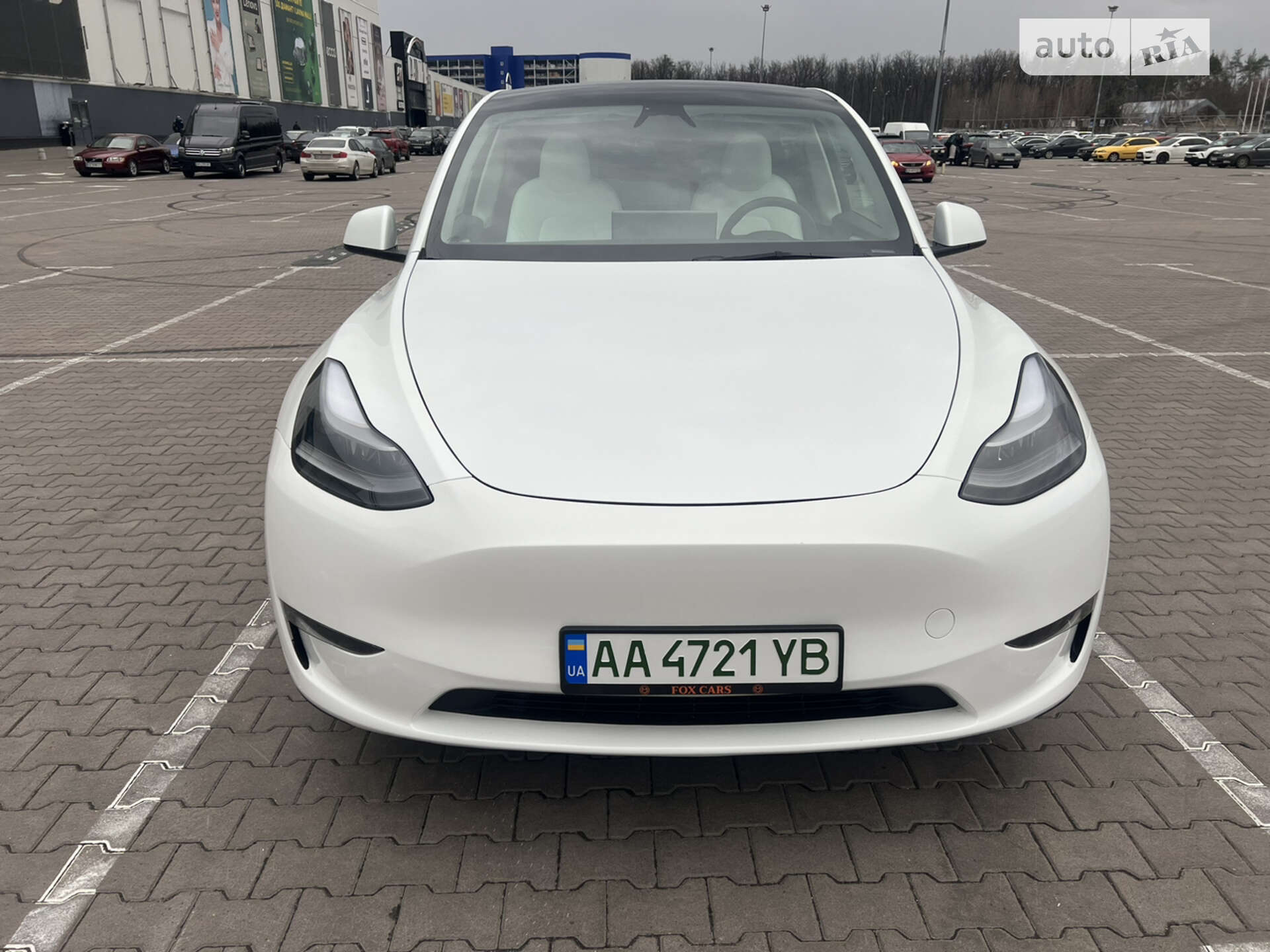 TESLA MODEL Y 2023