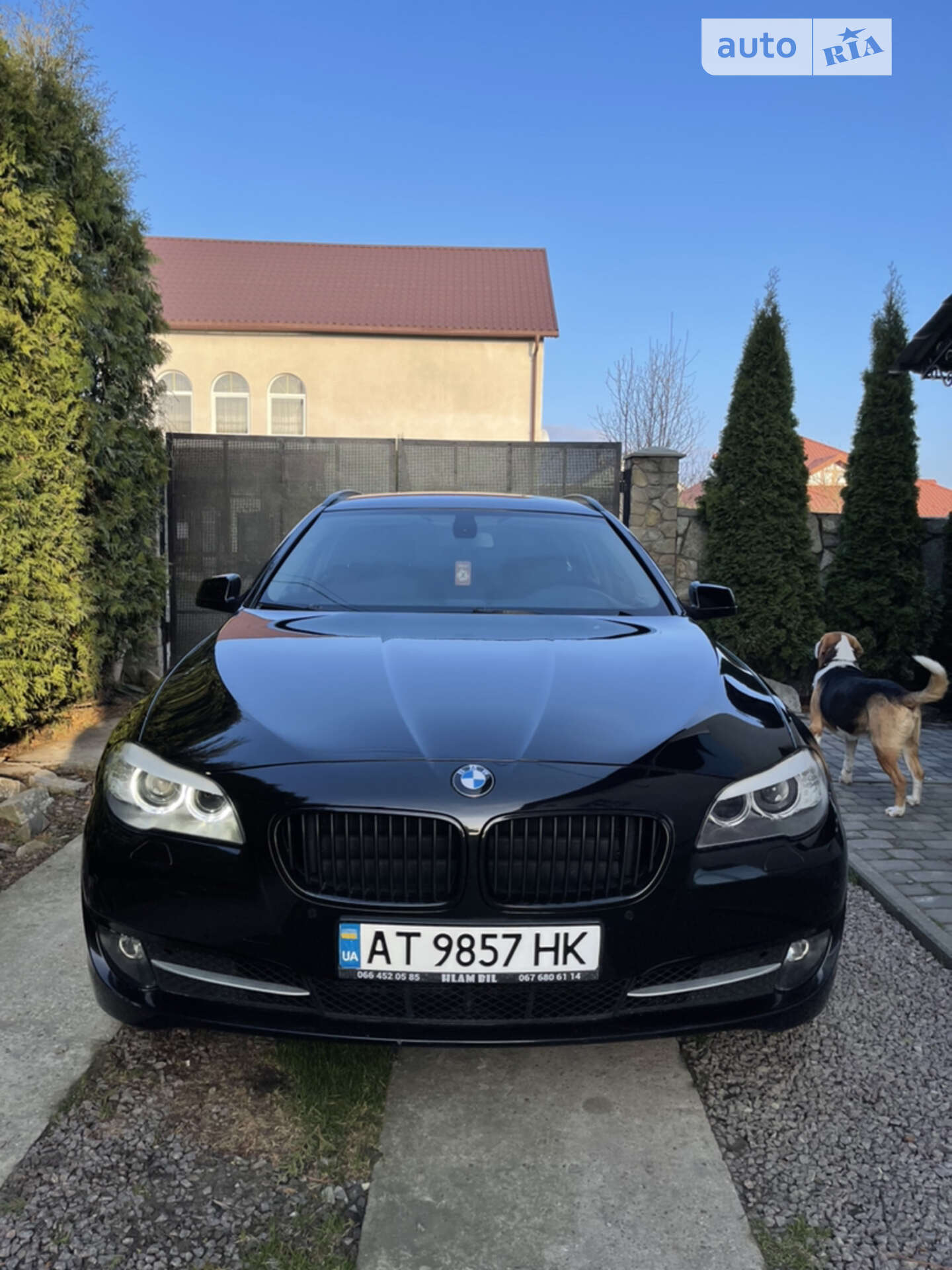 BMW 5 Series 2011