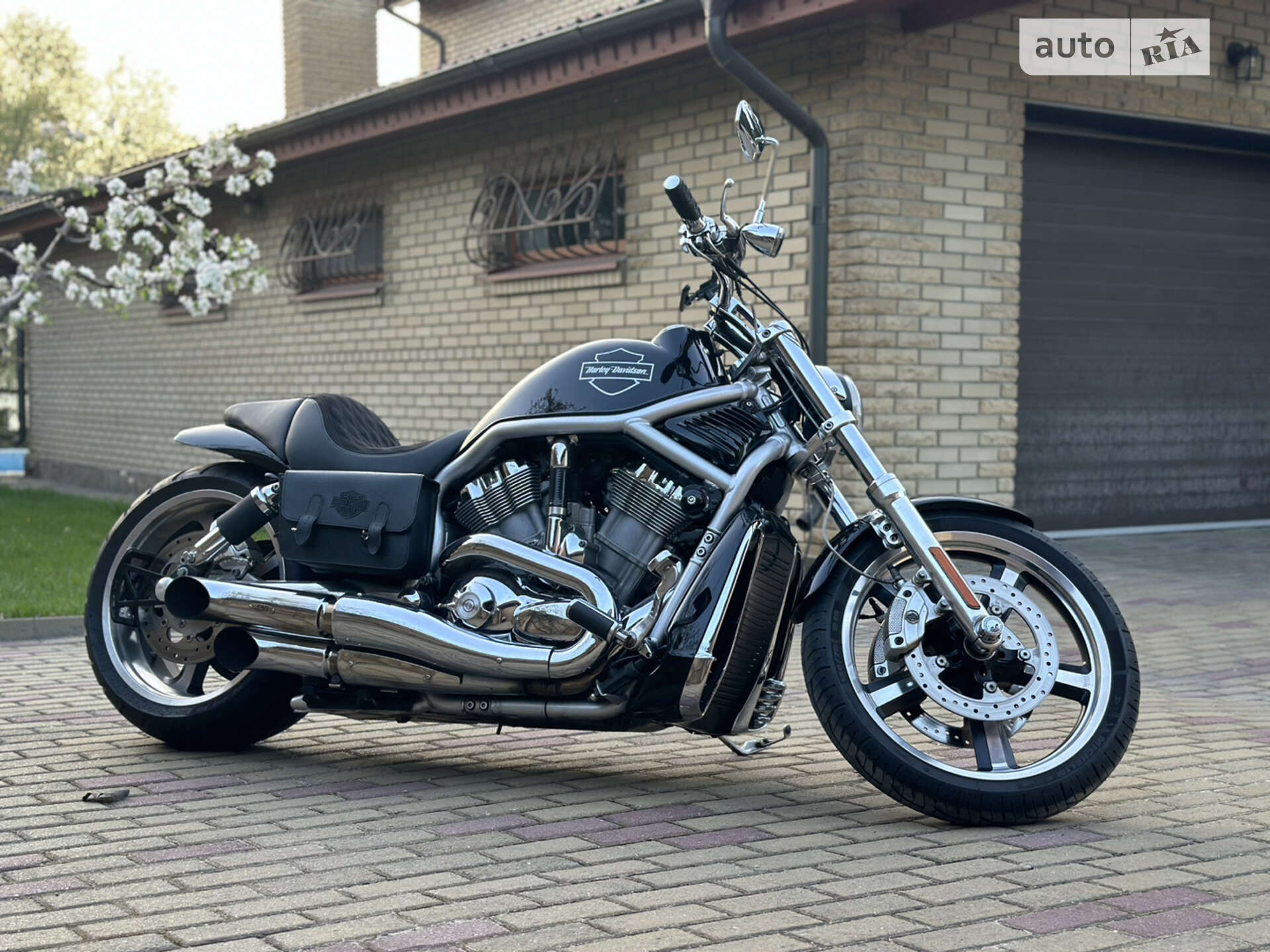 HARLEY-DAVIDSON V-ROD 2007