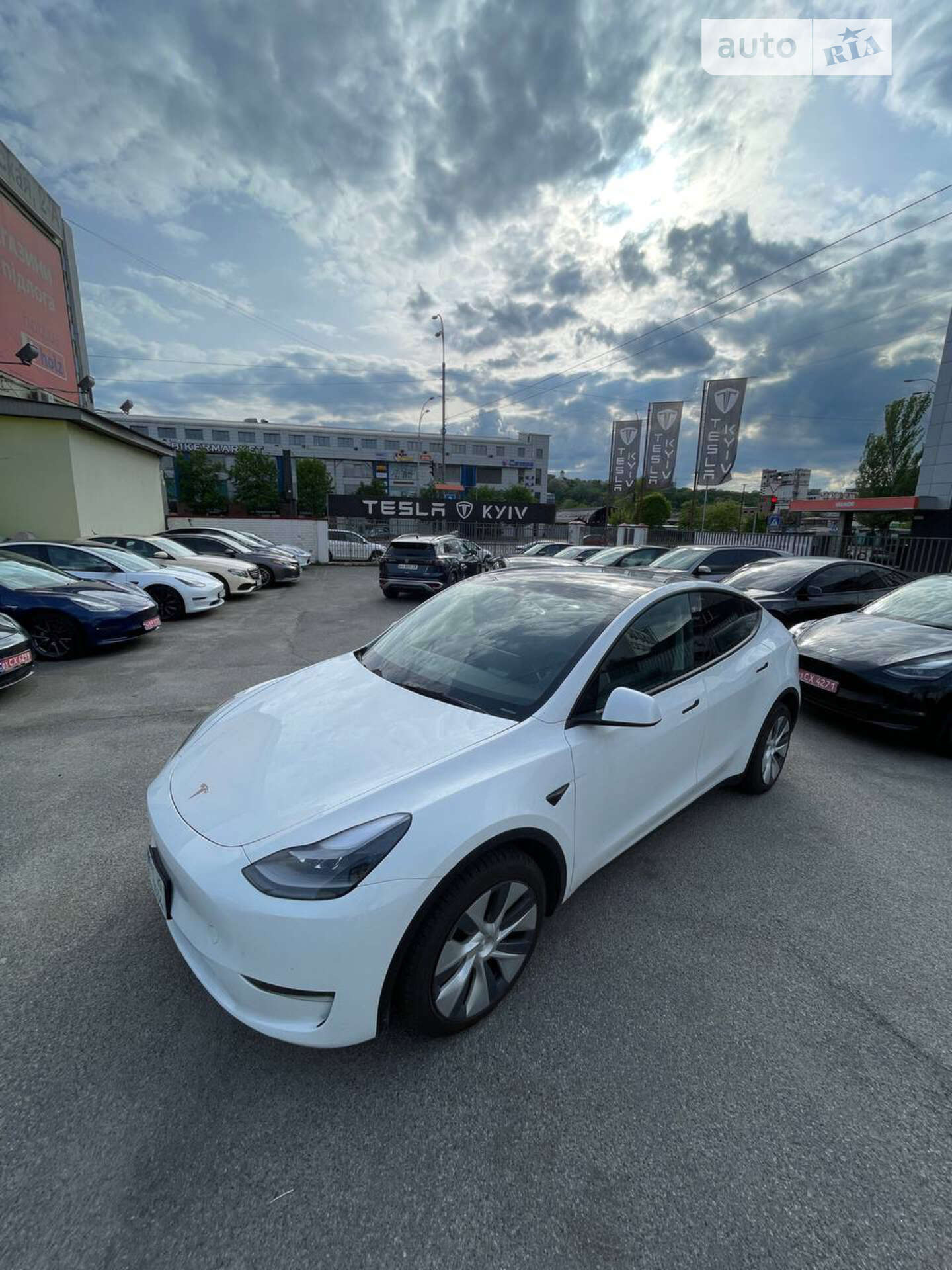 TESLA MODEL Y 2023