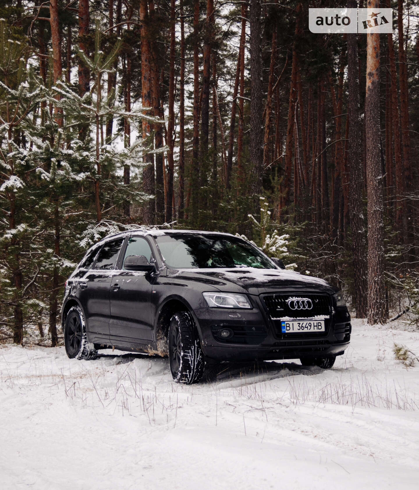 AUDI Q5