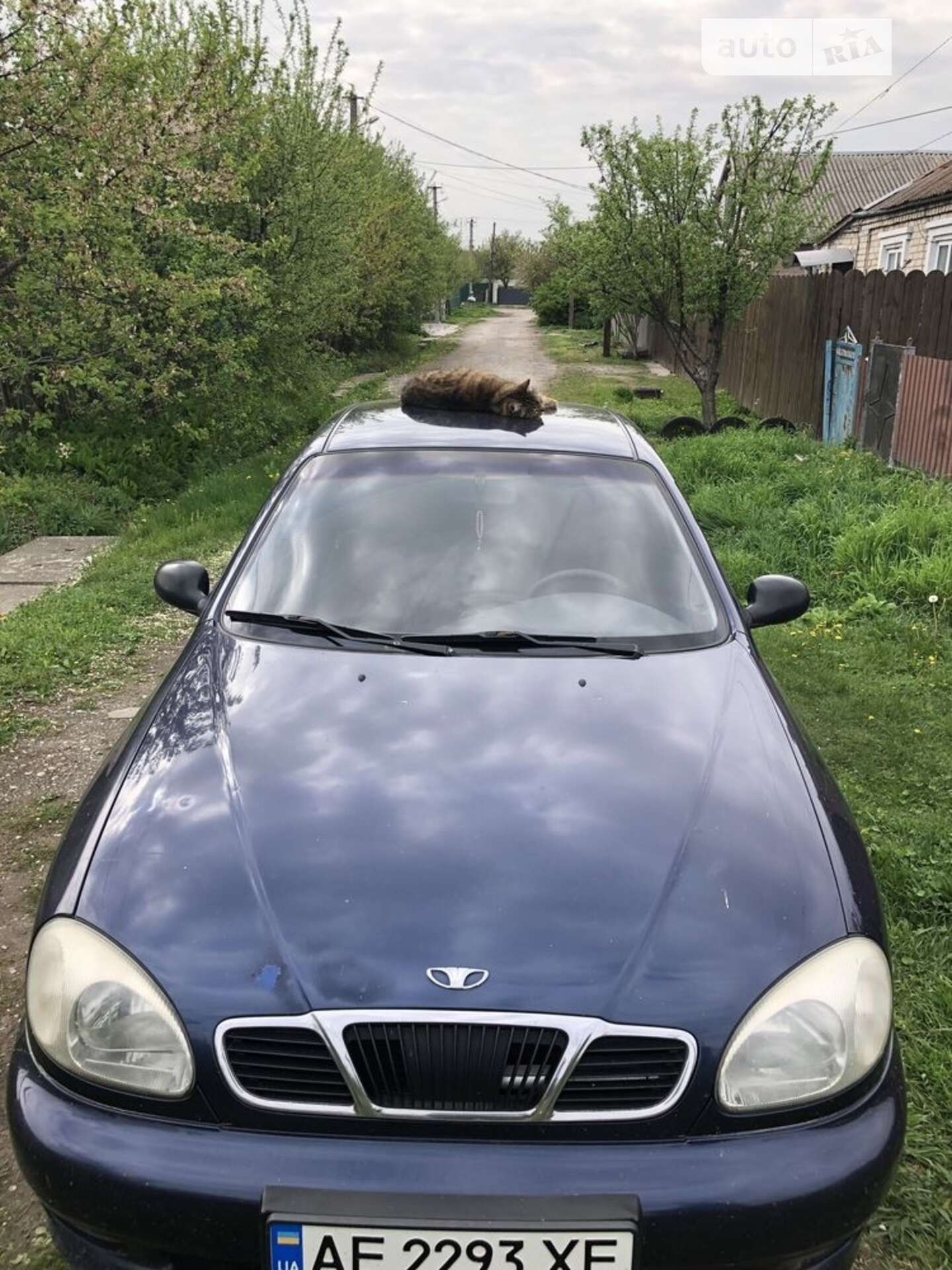 DAEWOO SENS 2001