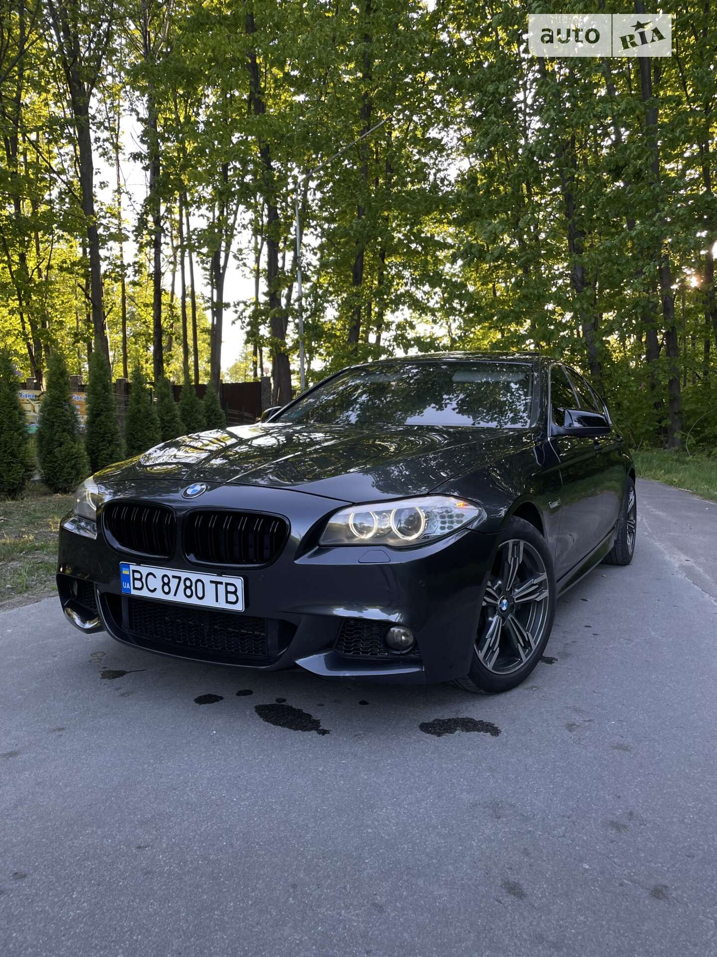 BMW 5 Series 2010
