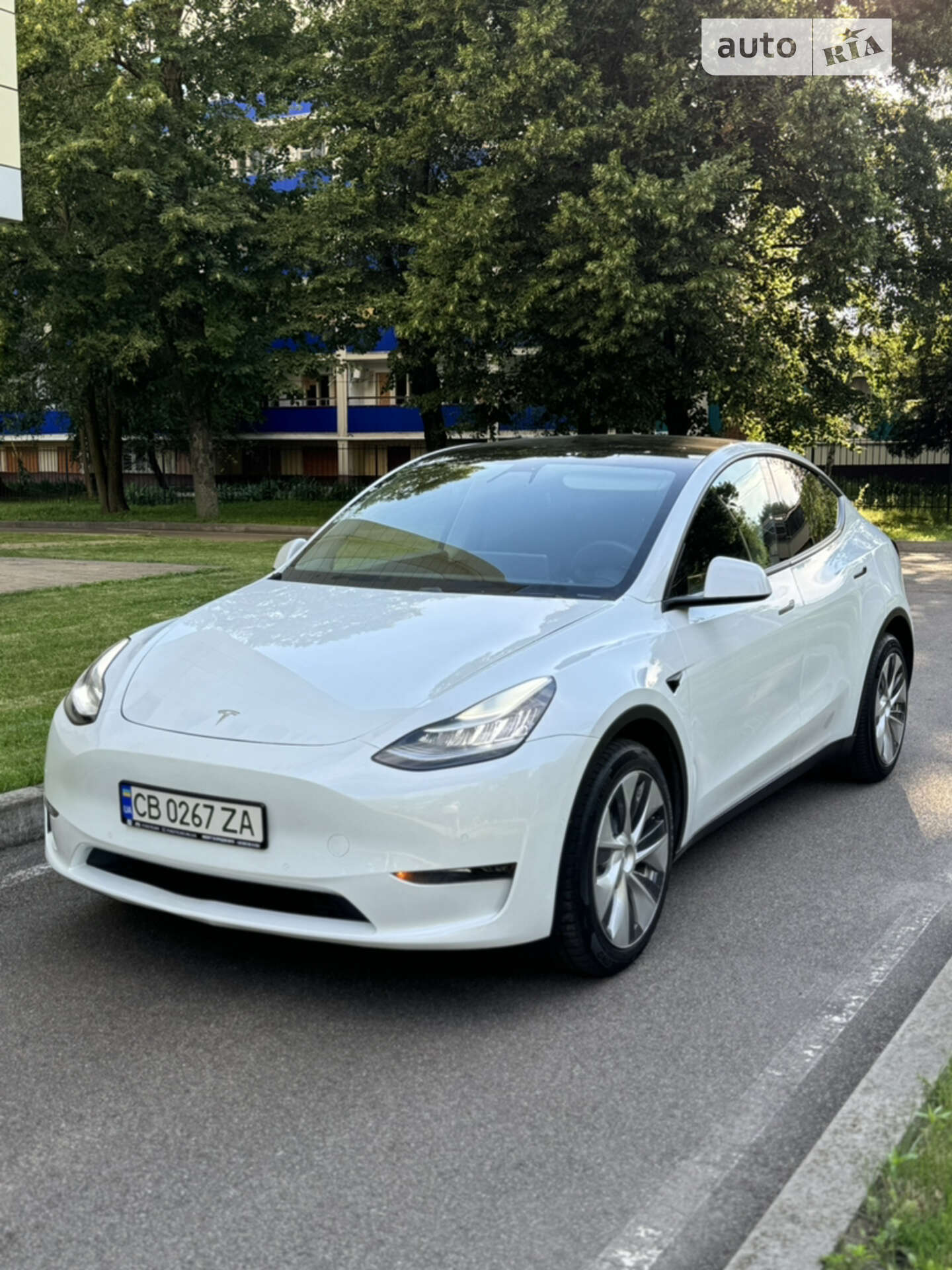 Tesla Model Y 2020