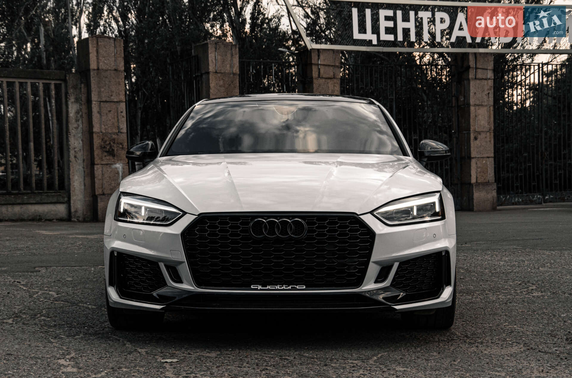 AUDI S5 2019