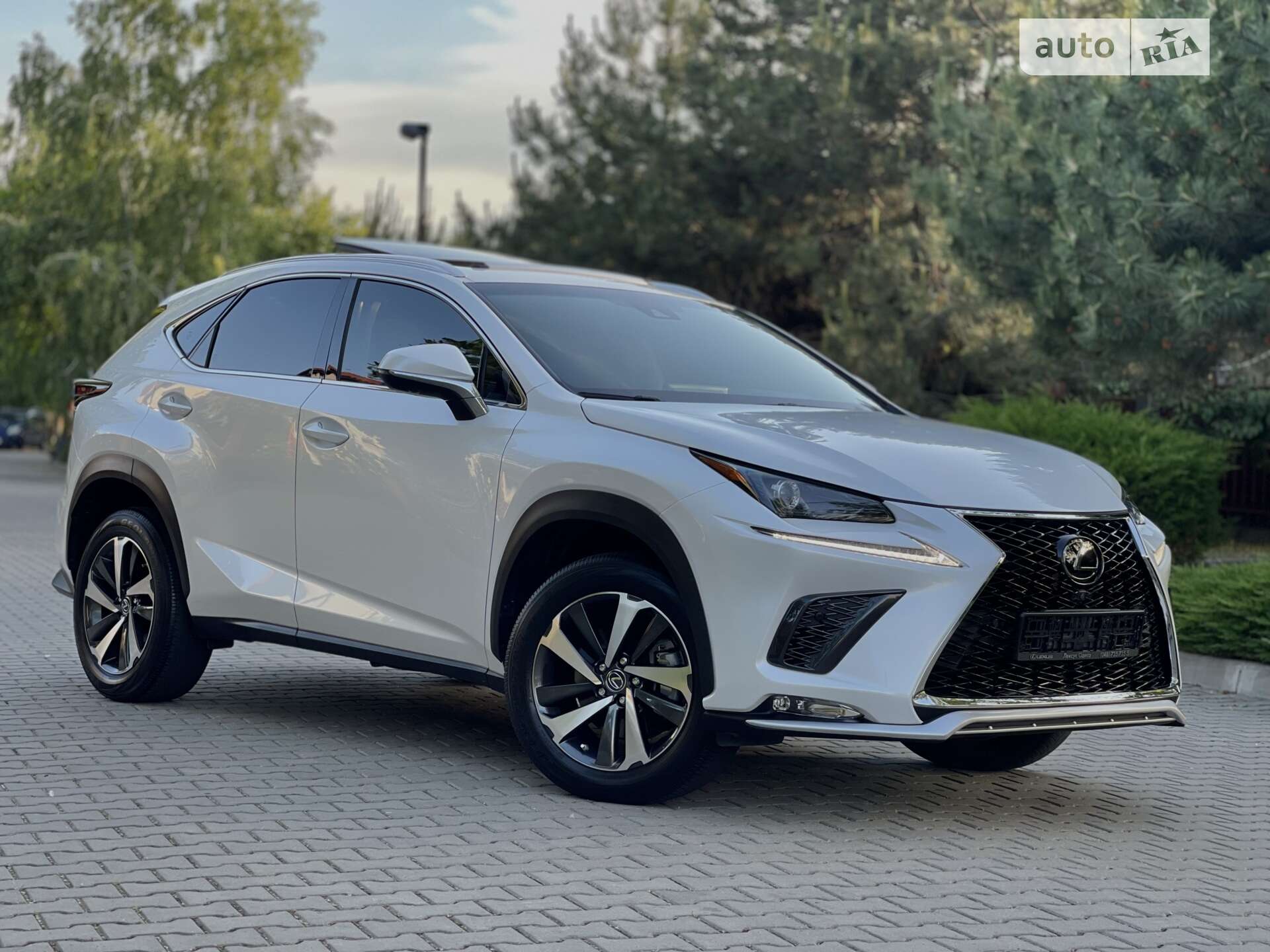 LEXUS NX 300 2019