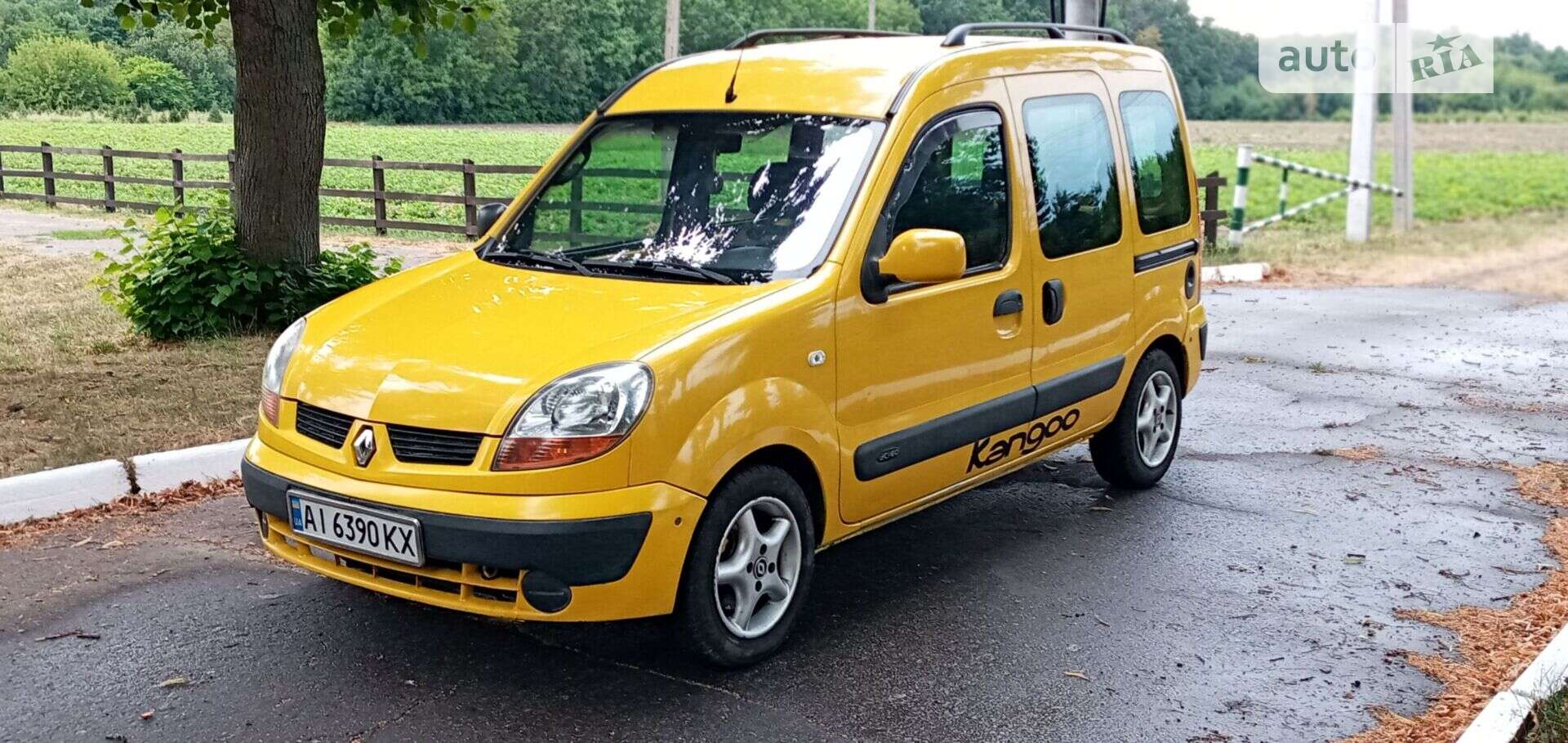 Головне фото звіту автомобіля RENAULT KANGOO 2004