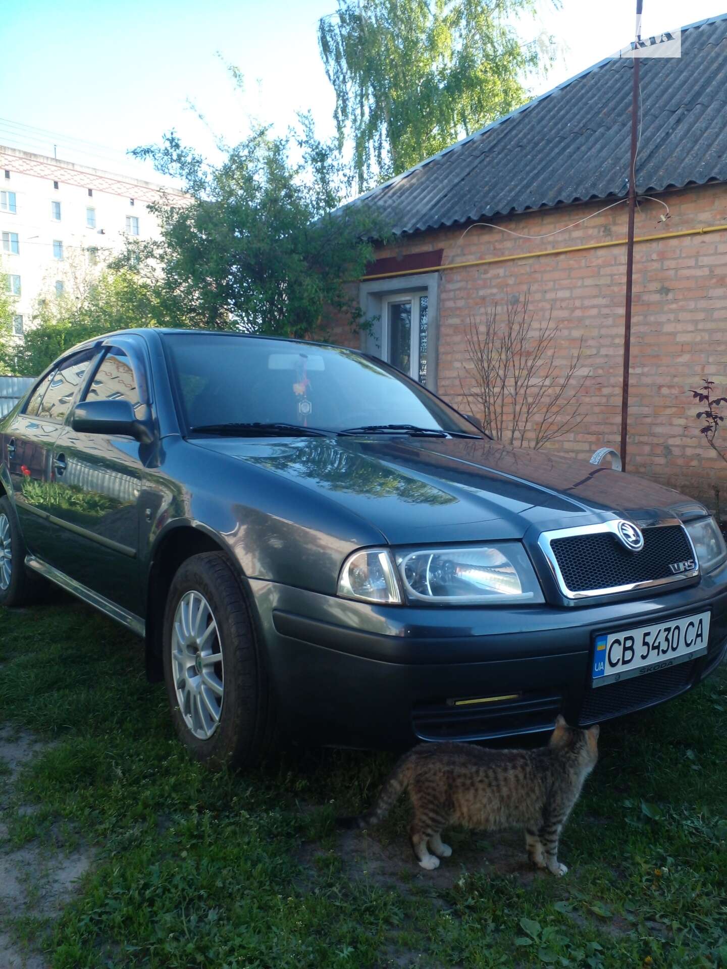 Головне фото звіту автомобіля SKODA OCTAVIA TOUR 2008
