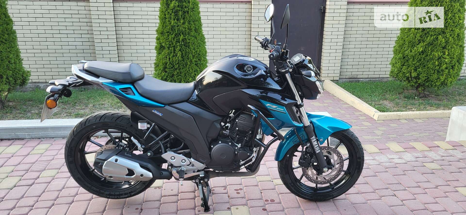 Yamaha FZ 25 FZN 250 2022