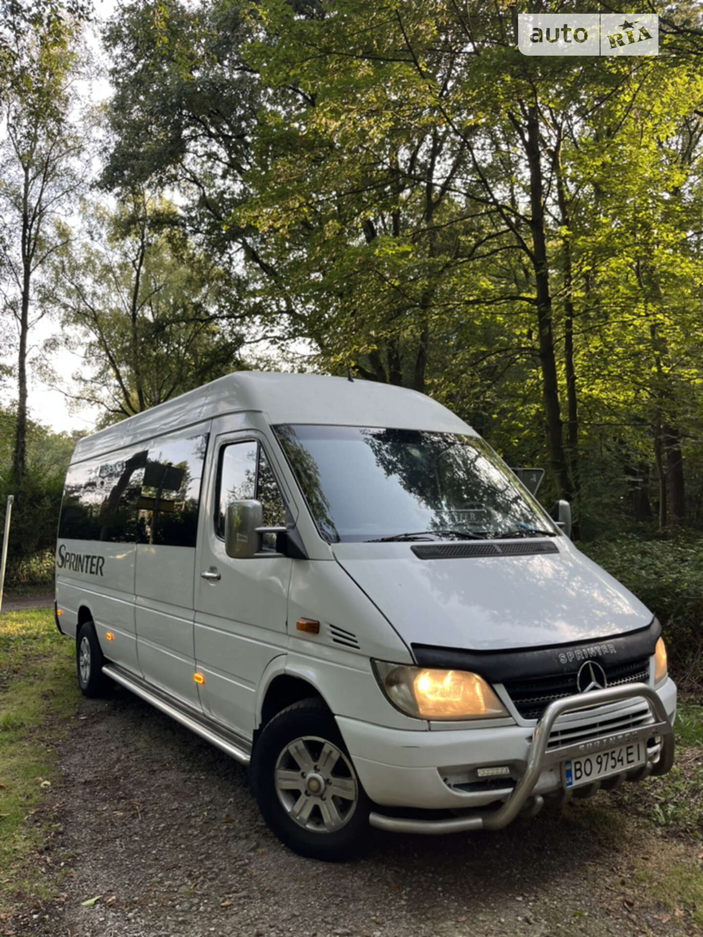 MERCEDES-BENZ SPRINTER 311 CDI 2004