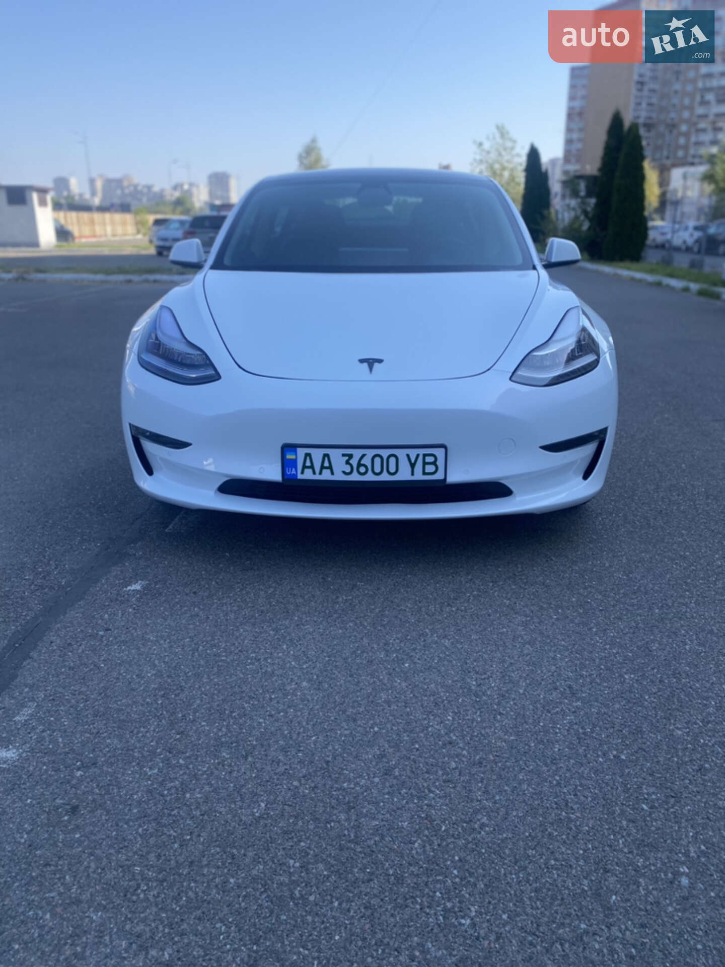 Tesla Model 3 2019