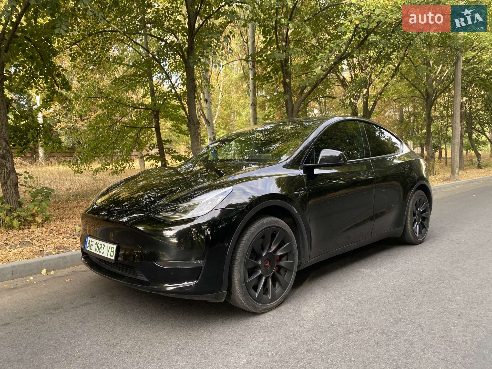 TESLA MODEL Y 2021
