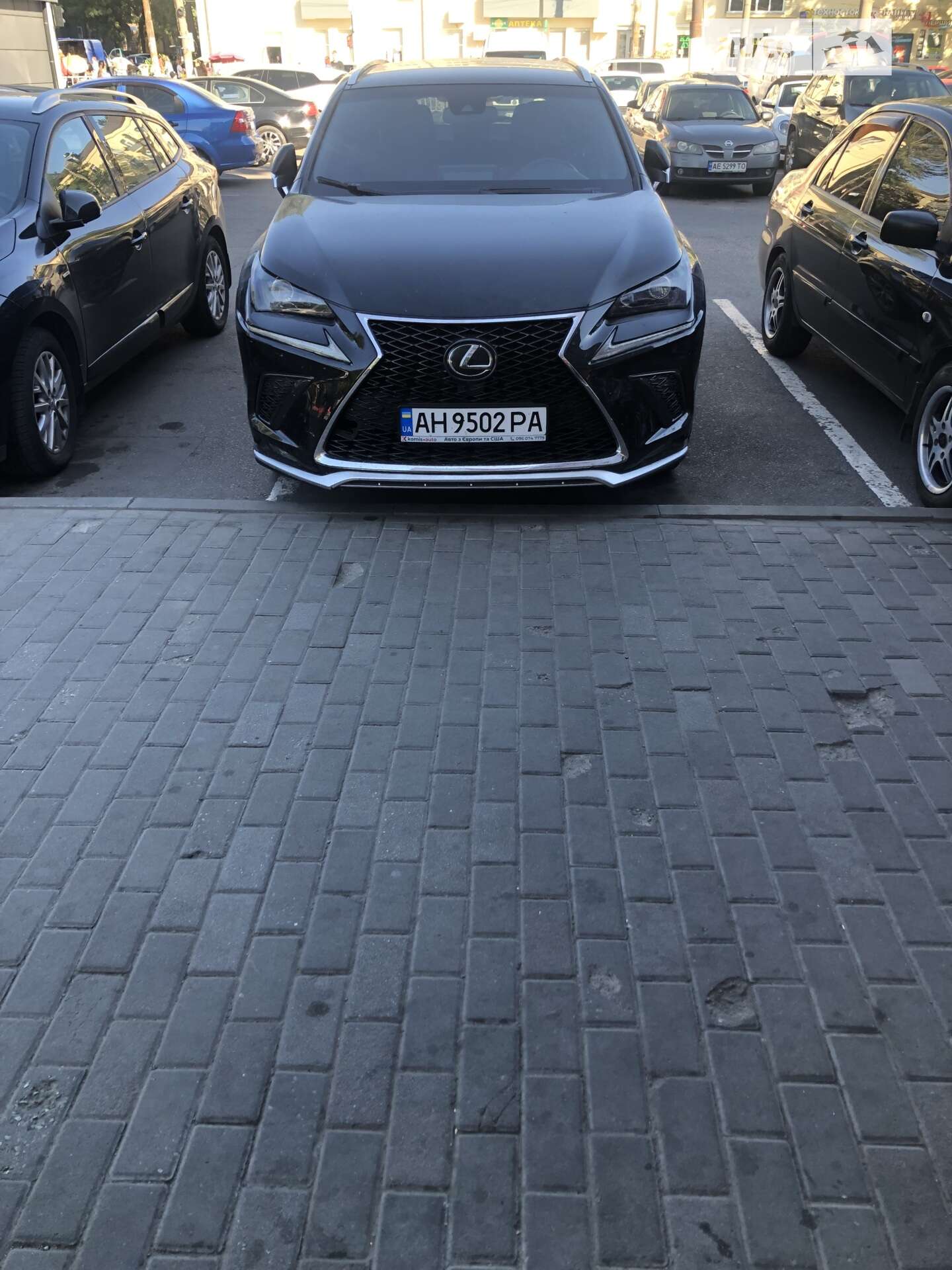 LEXUS NX 300