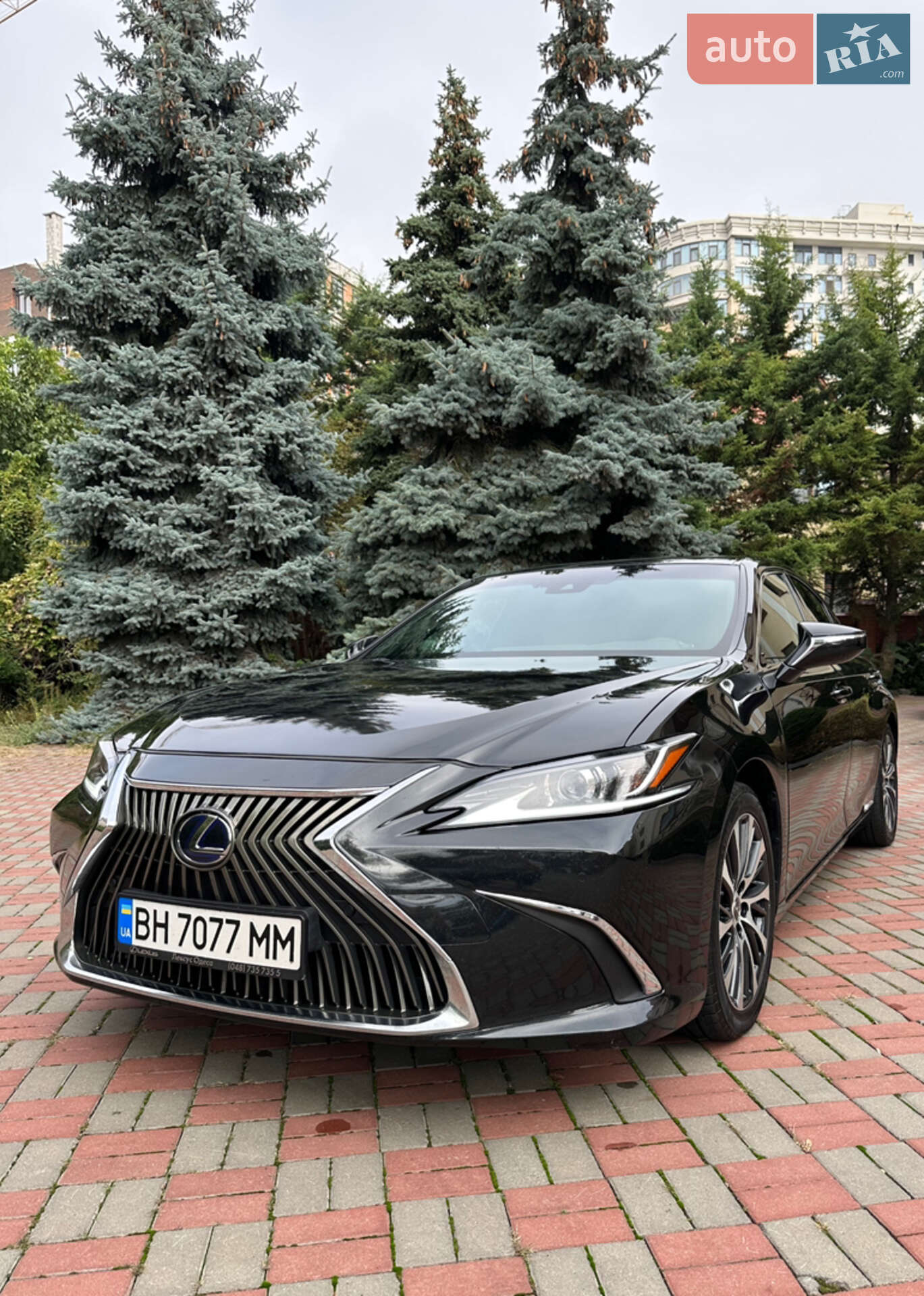 LEXUS ES 300H 2019