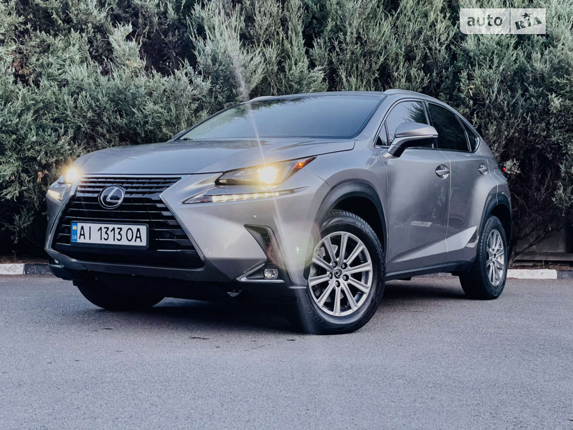 LEXUS NX 300 2017
