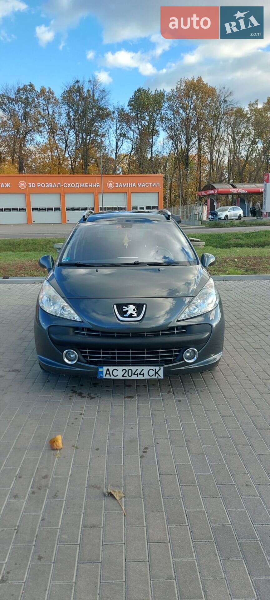 Головне фото звіту автомобіля PEUGEOT 207 2007