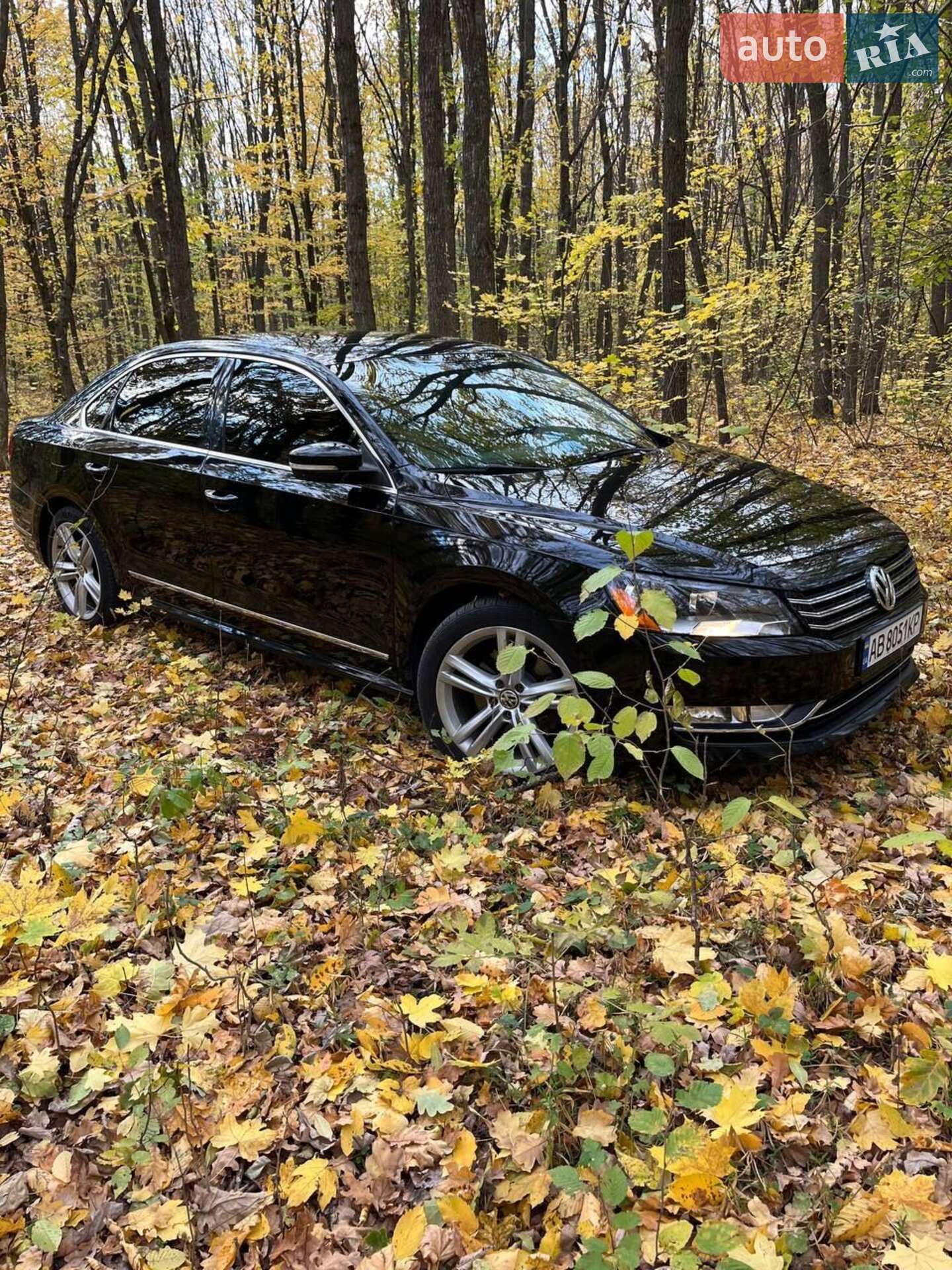 VOLKSWAGEN PASSAT 2013