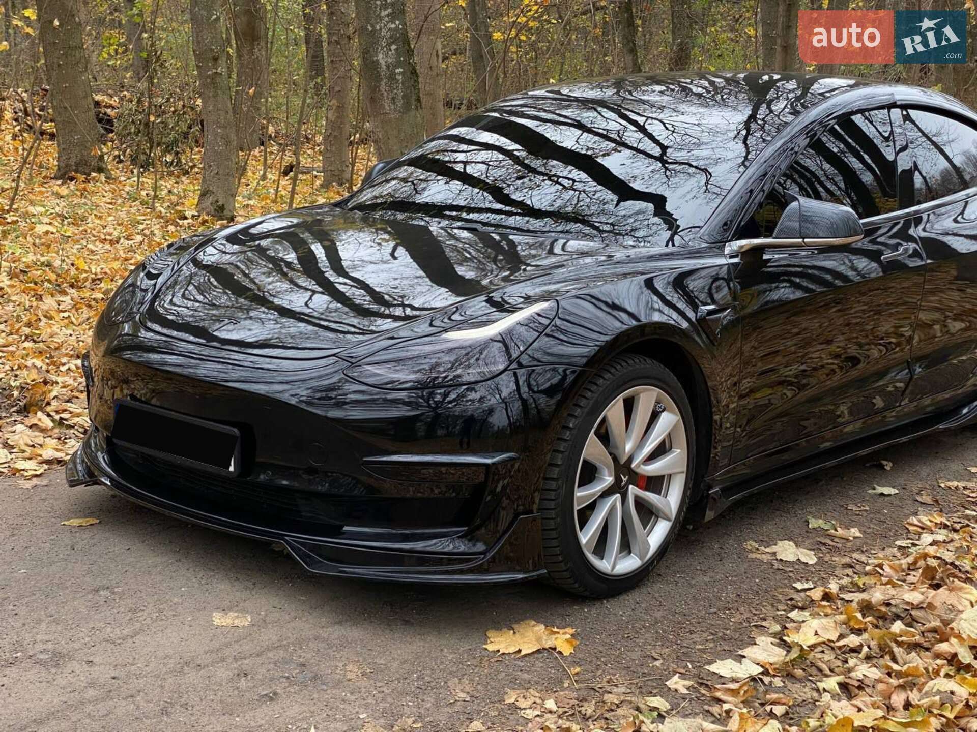 Головне фото звіту автомобіля TESLA MODEL 3 2019