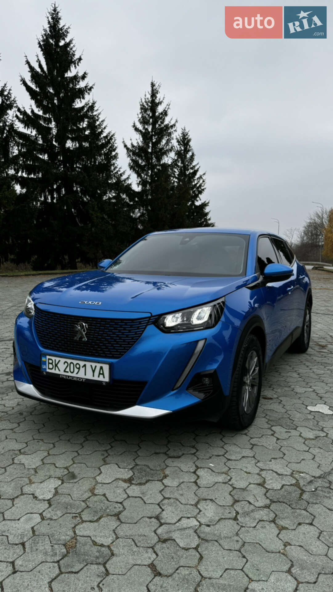 PEUGEOT E2008 2020