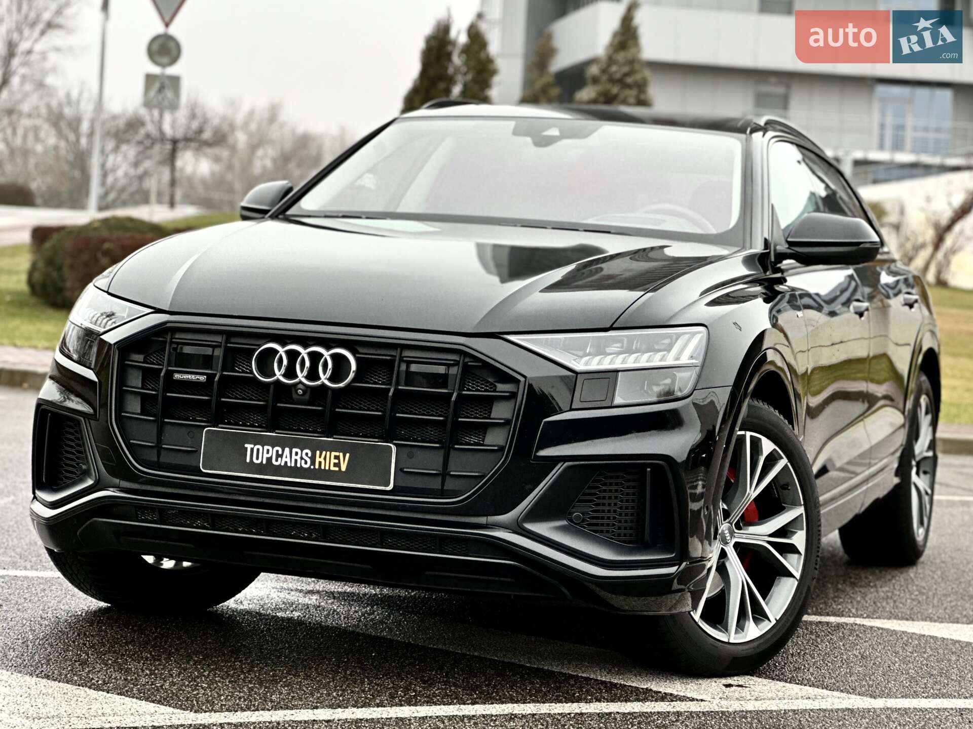 Audi Q8 2018