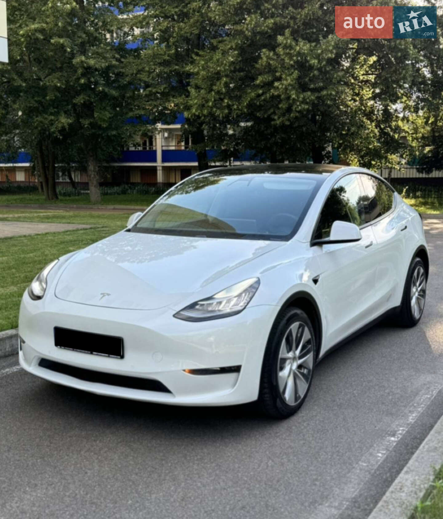 Головне фото звіту автомобіля TESLA MODEL Y 2020