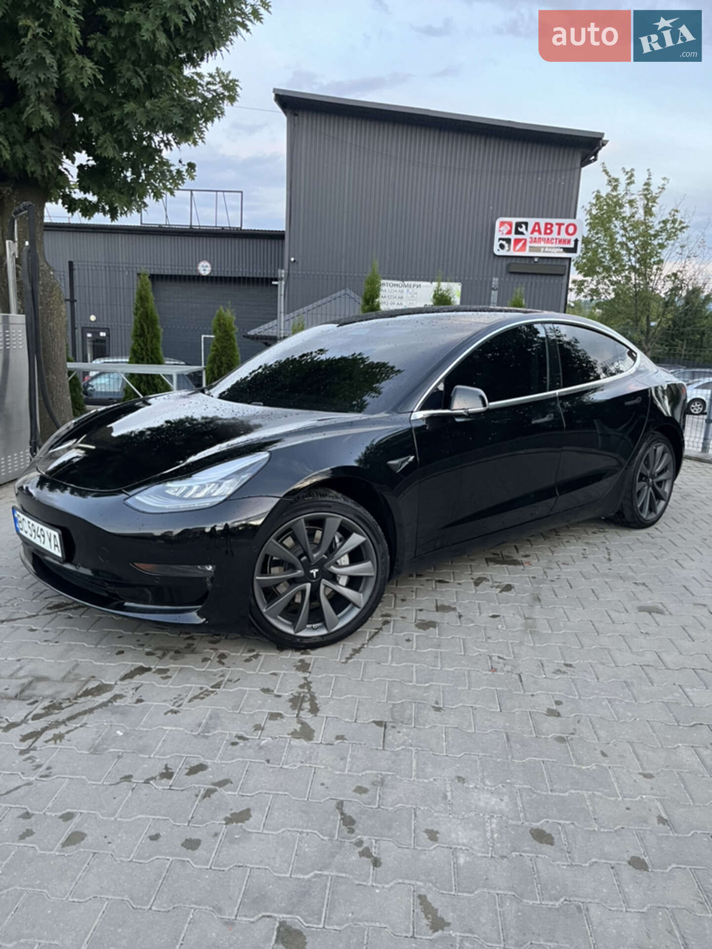 Головне фото звіту автомобіля TESLA MODEL 3 2019