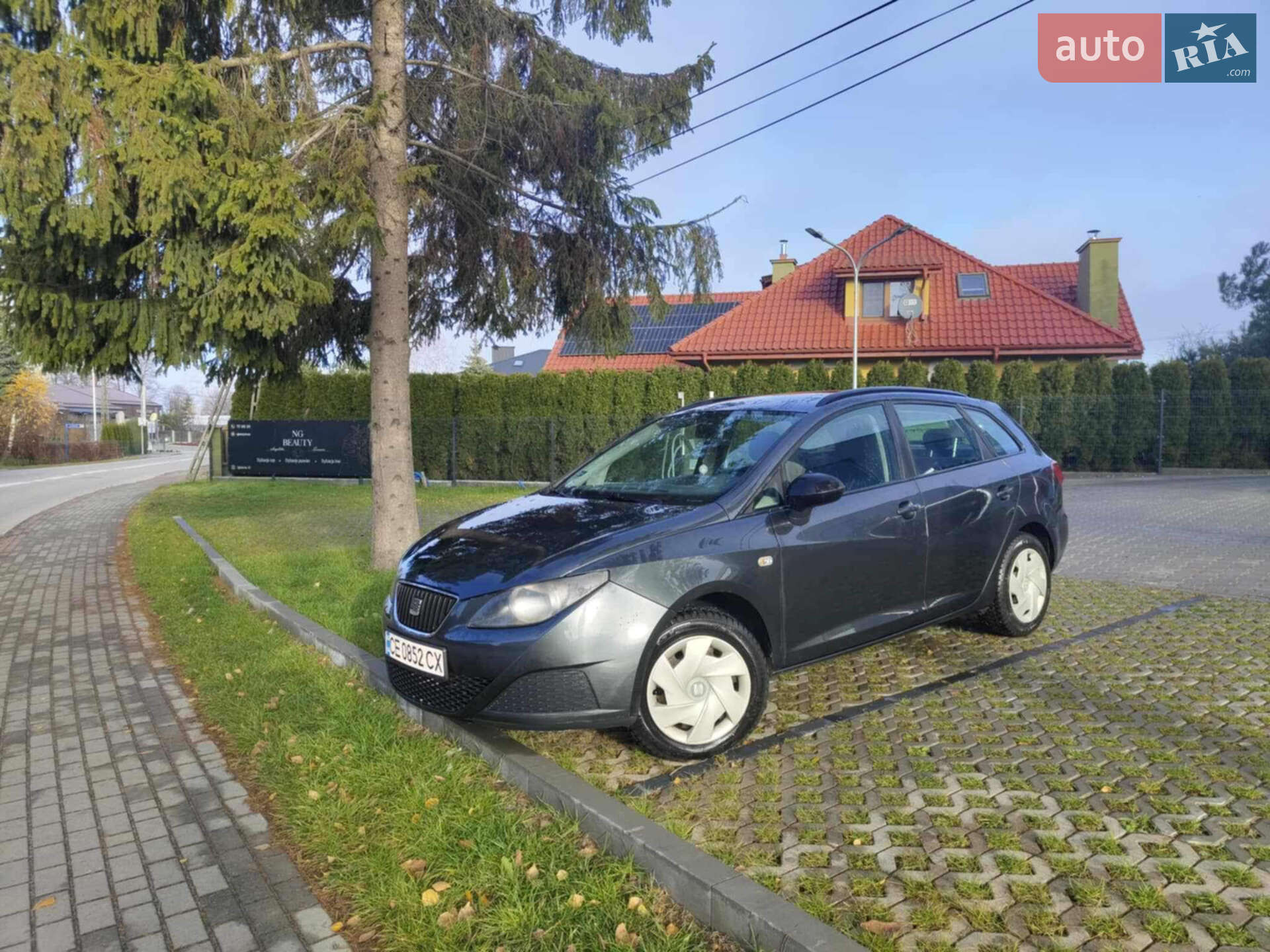 Головне фото звіту автомобіля SEAT IBIZA 2010