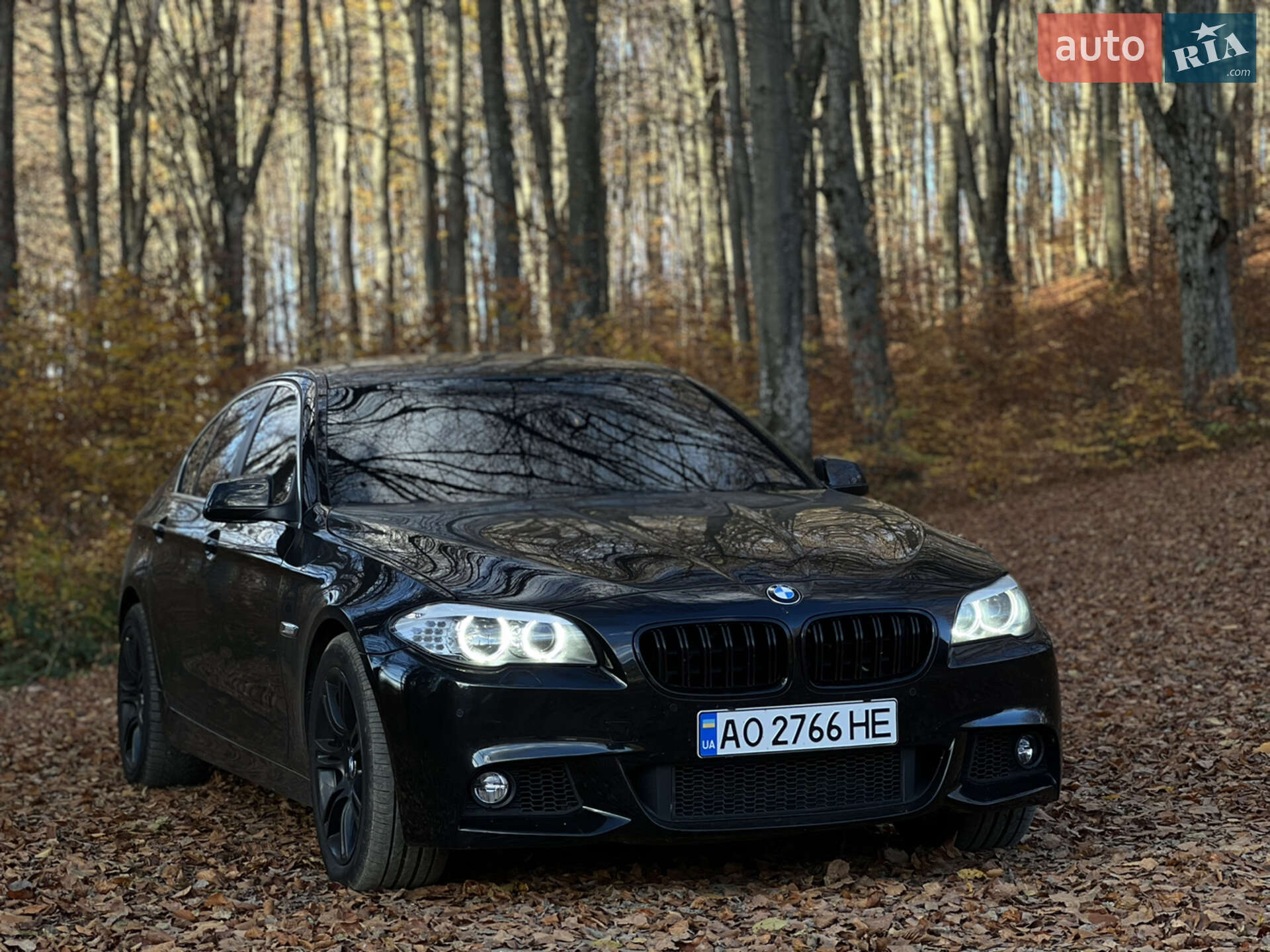 BMW 525 2010