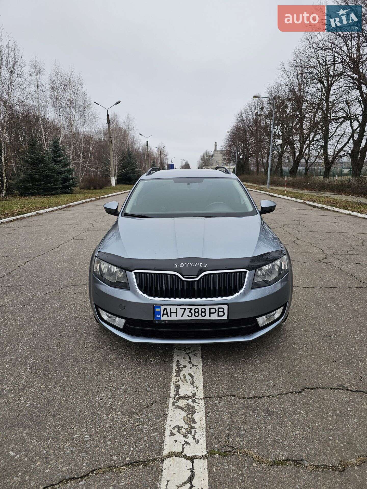 Головне фото звіту автомобіля SKODA OCTAVIA 2013