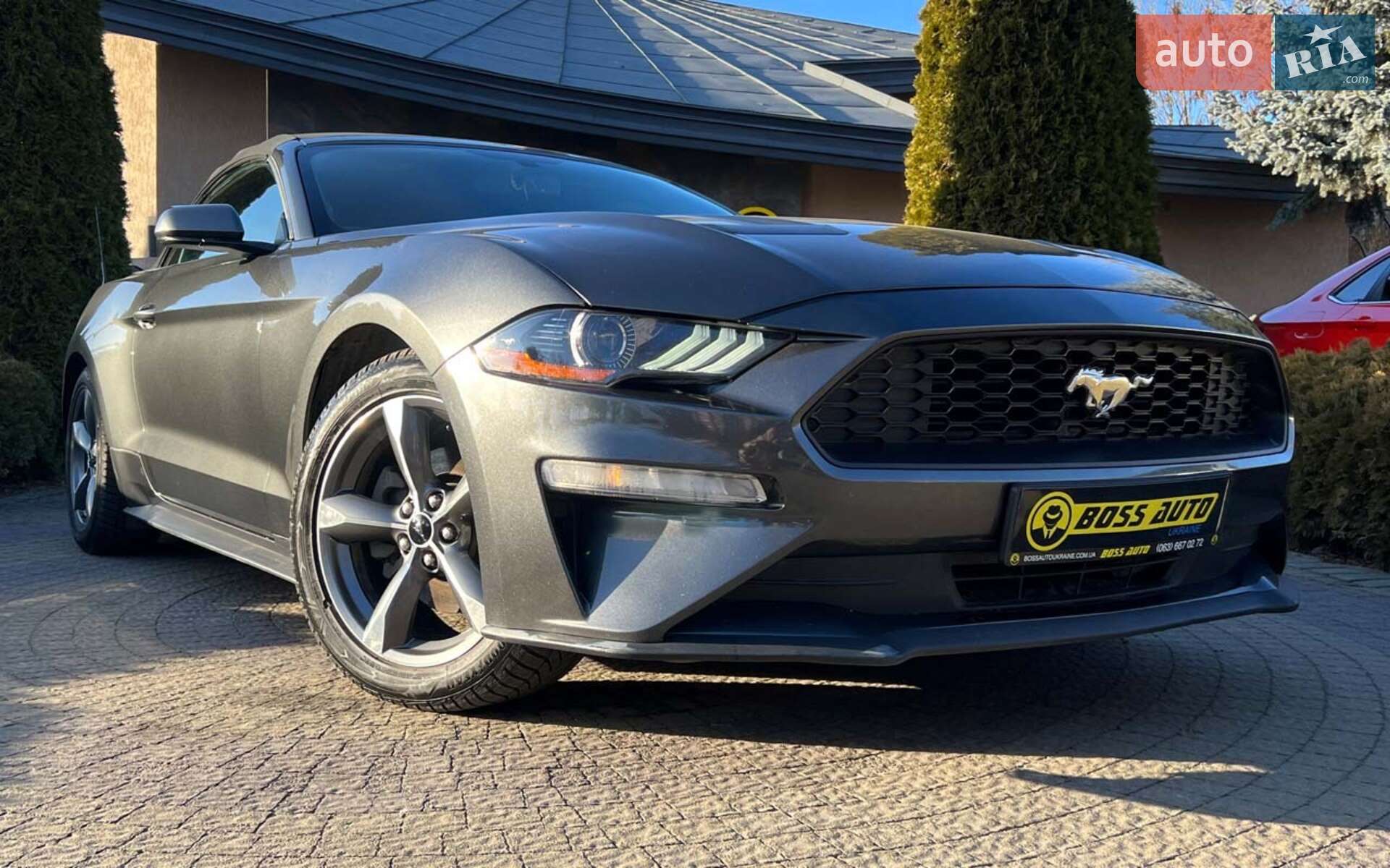 FORD MUSTANG 2019