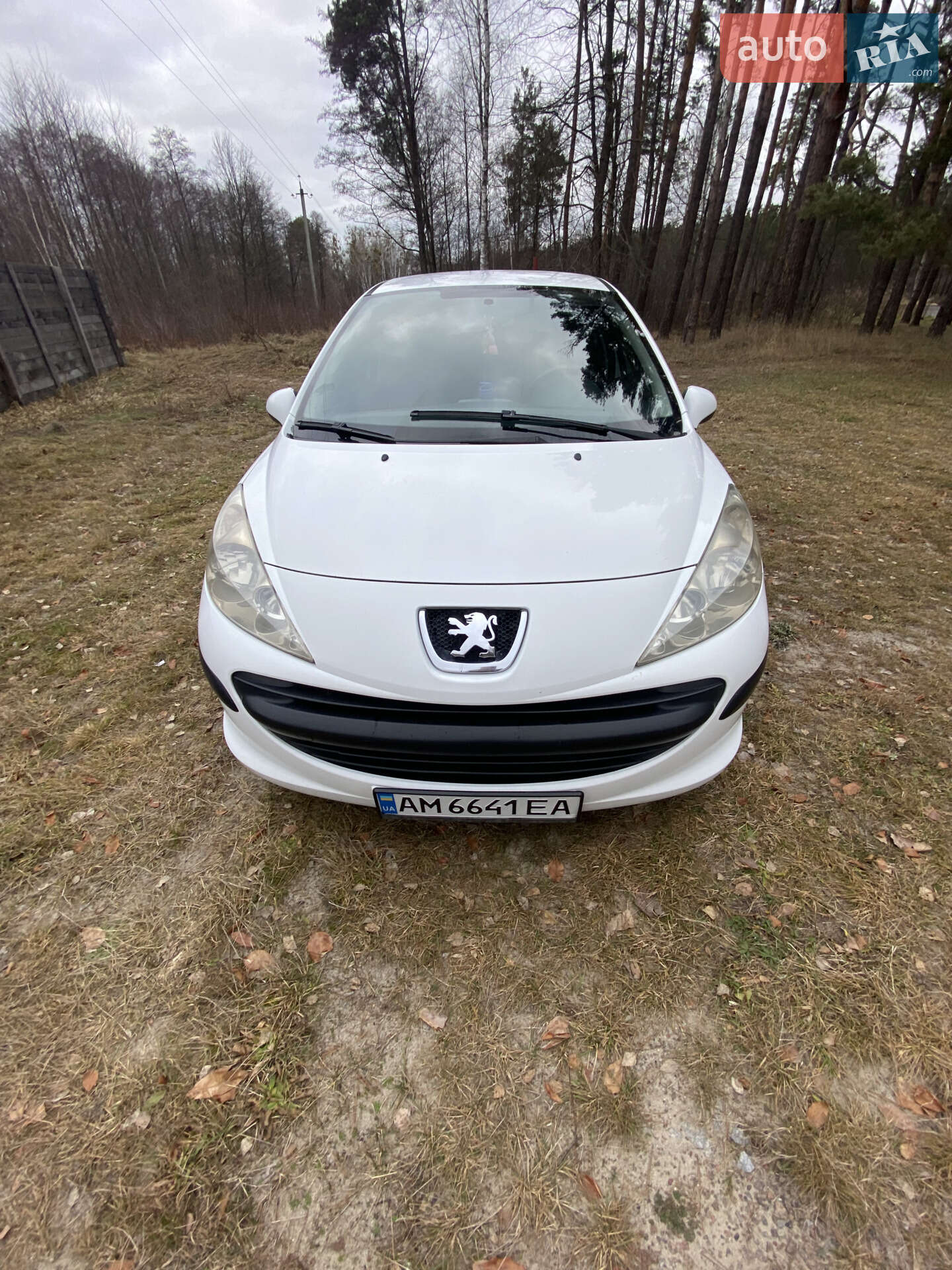 PEUGEOT 207 2009