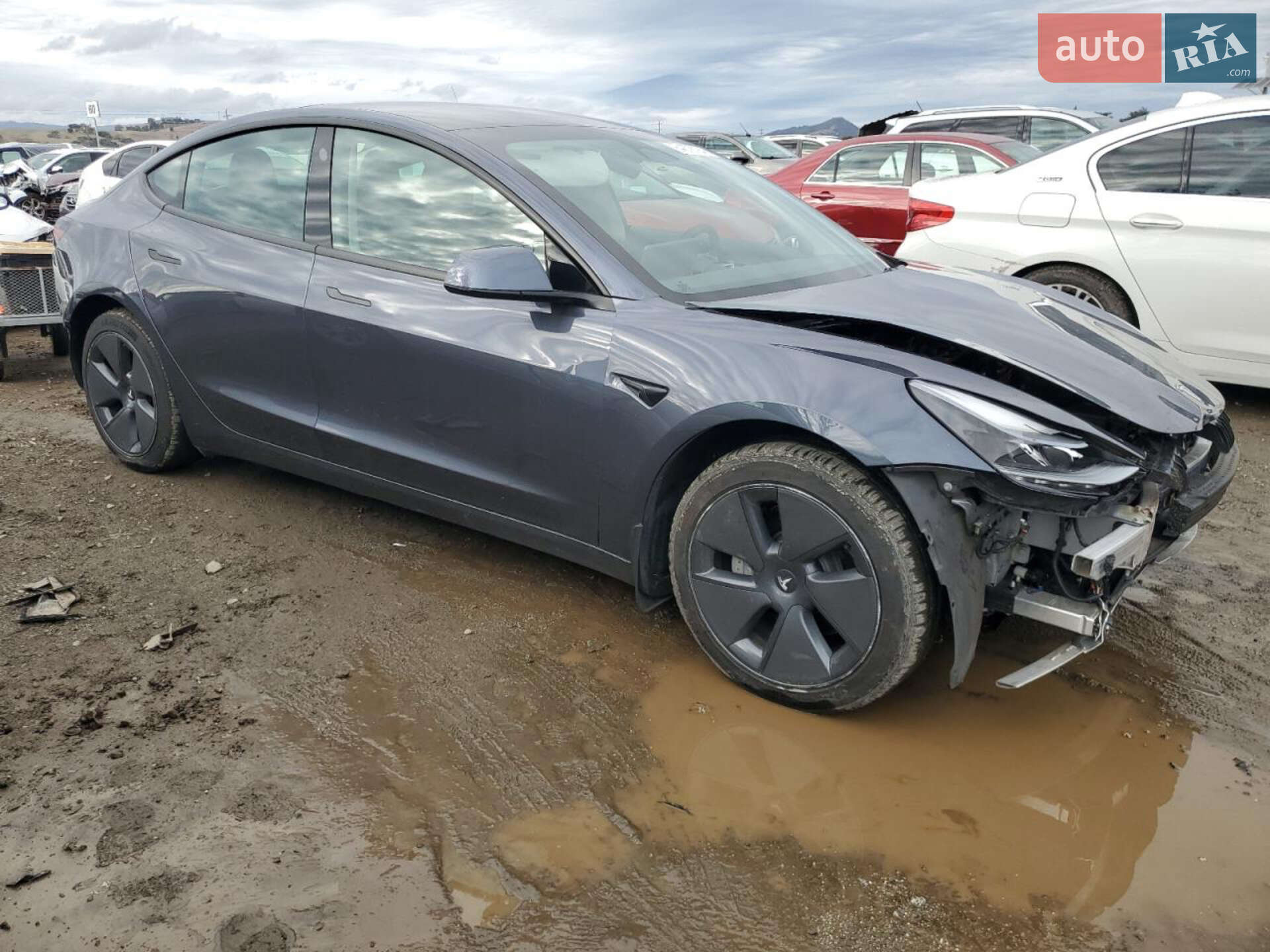 Tesla Model 3 2022