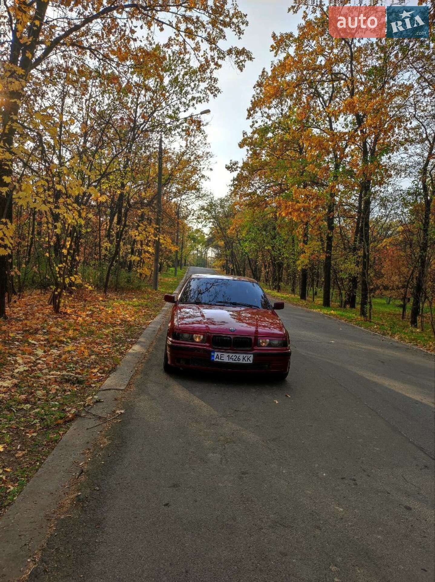 BMW 316I 1995