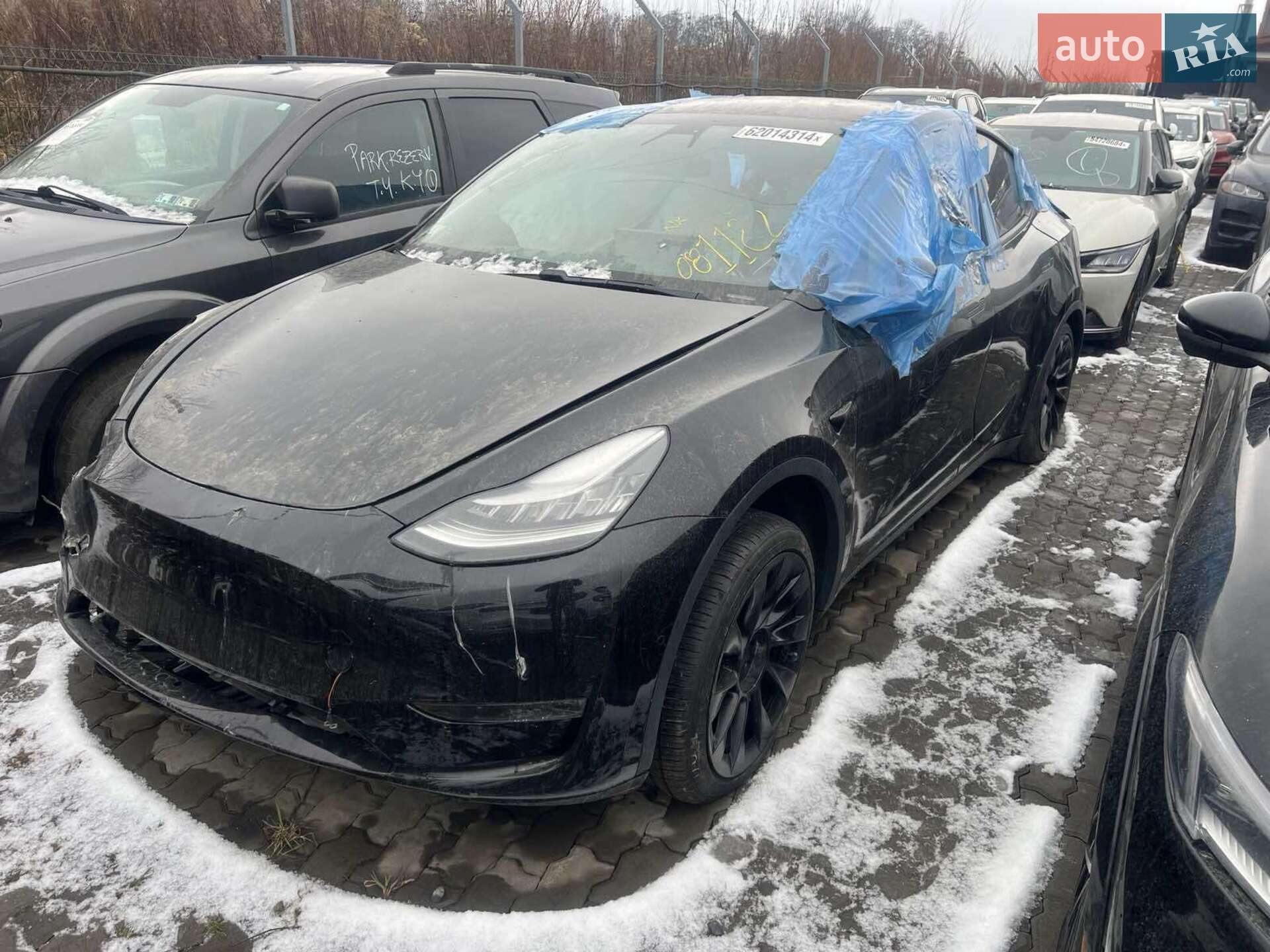 TESLA MODEL Y 2020