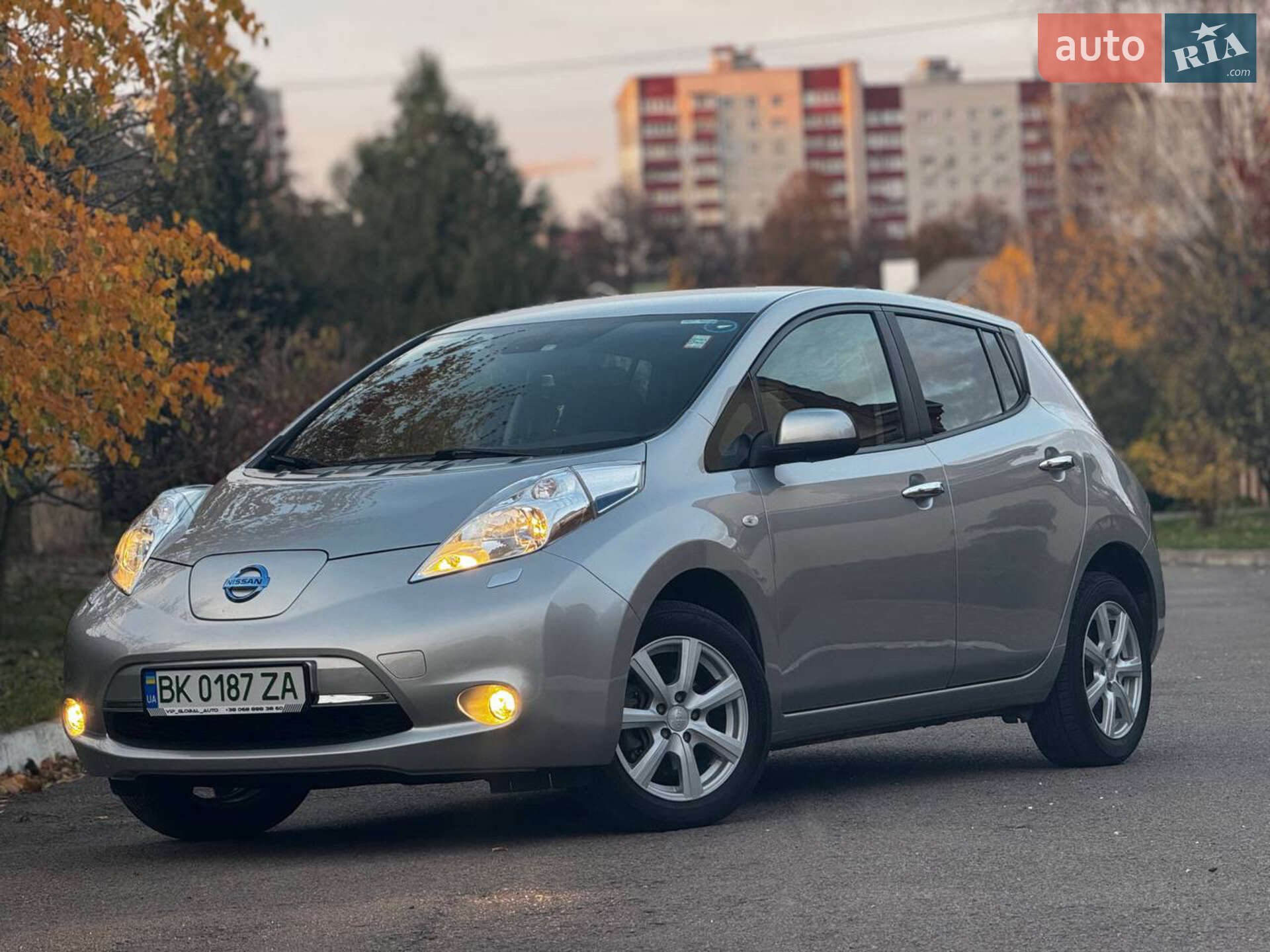 NISSAN LEAF 2013