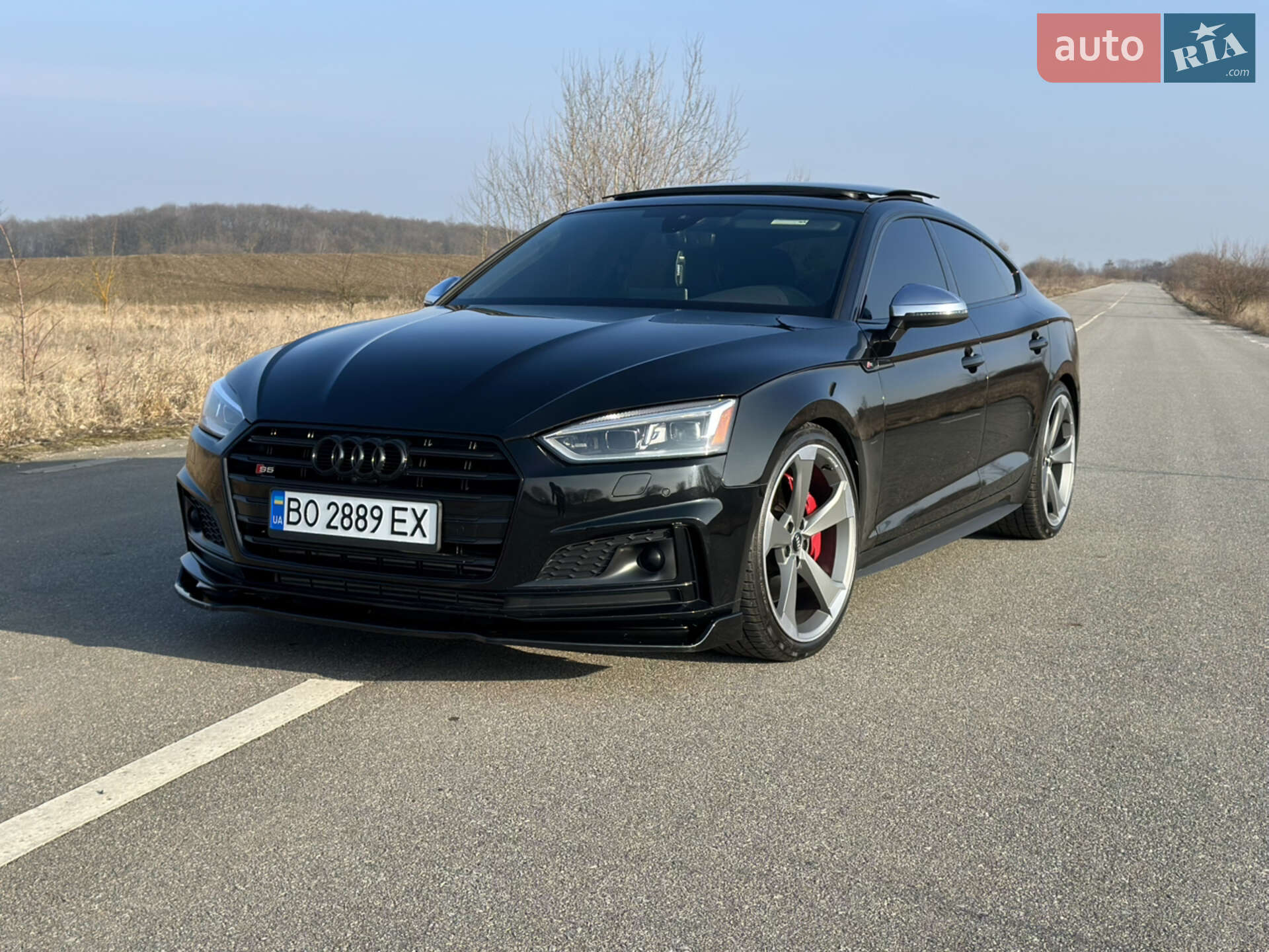 AUDI S5 2019