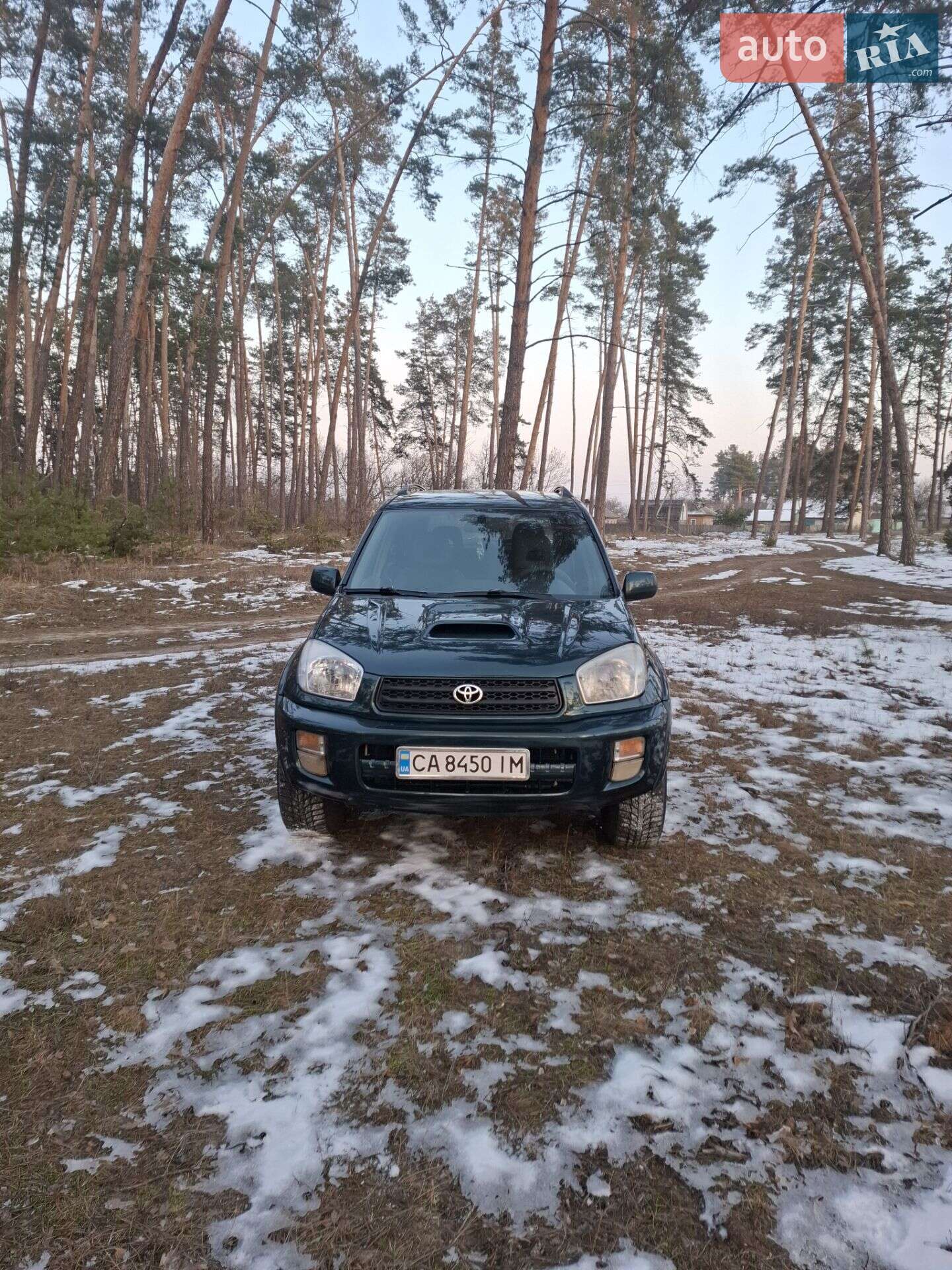 TOYOTA RAV4 2001