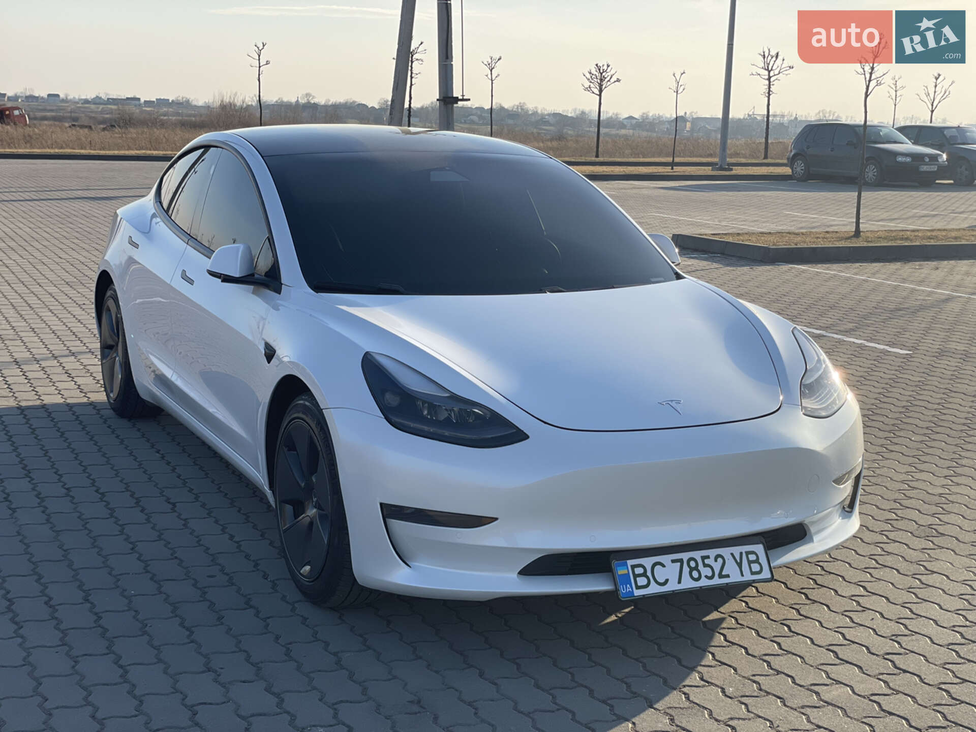 Головне фото звіту автомобіля TESLA MODEL 3 2021