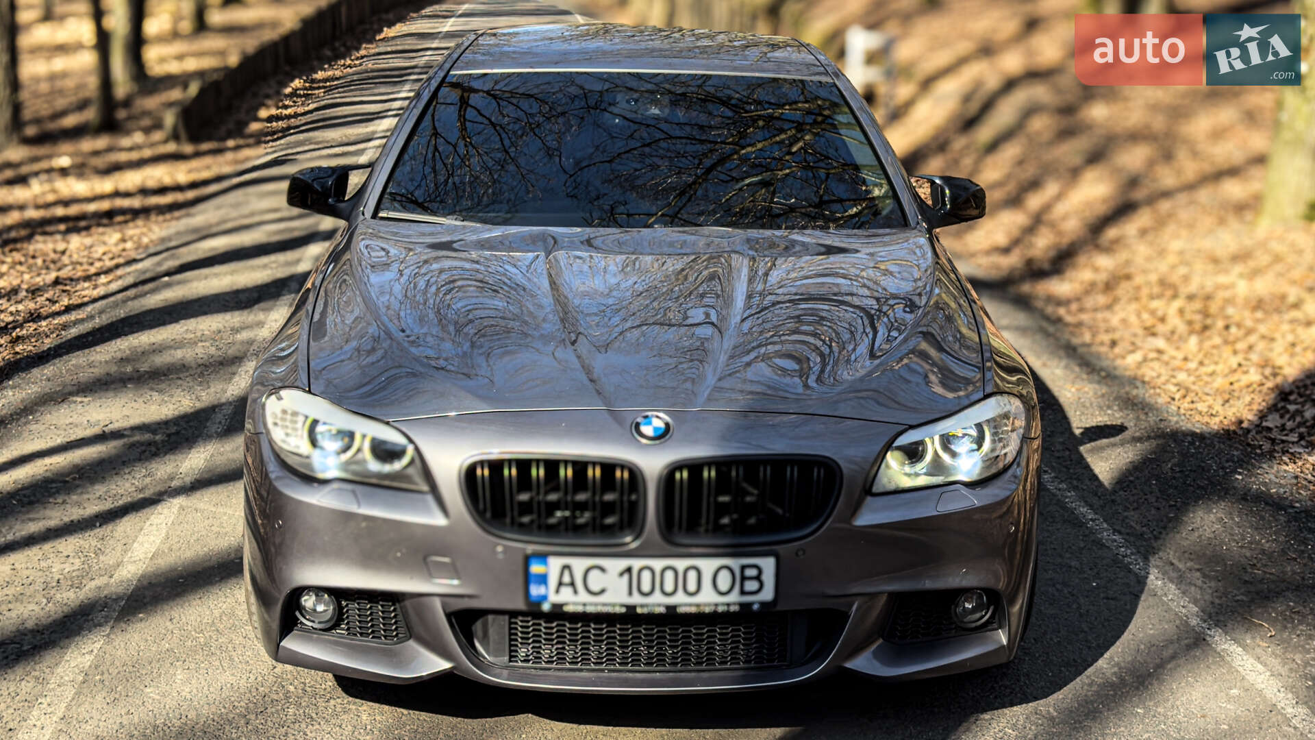 BMW 530D 2010
