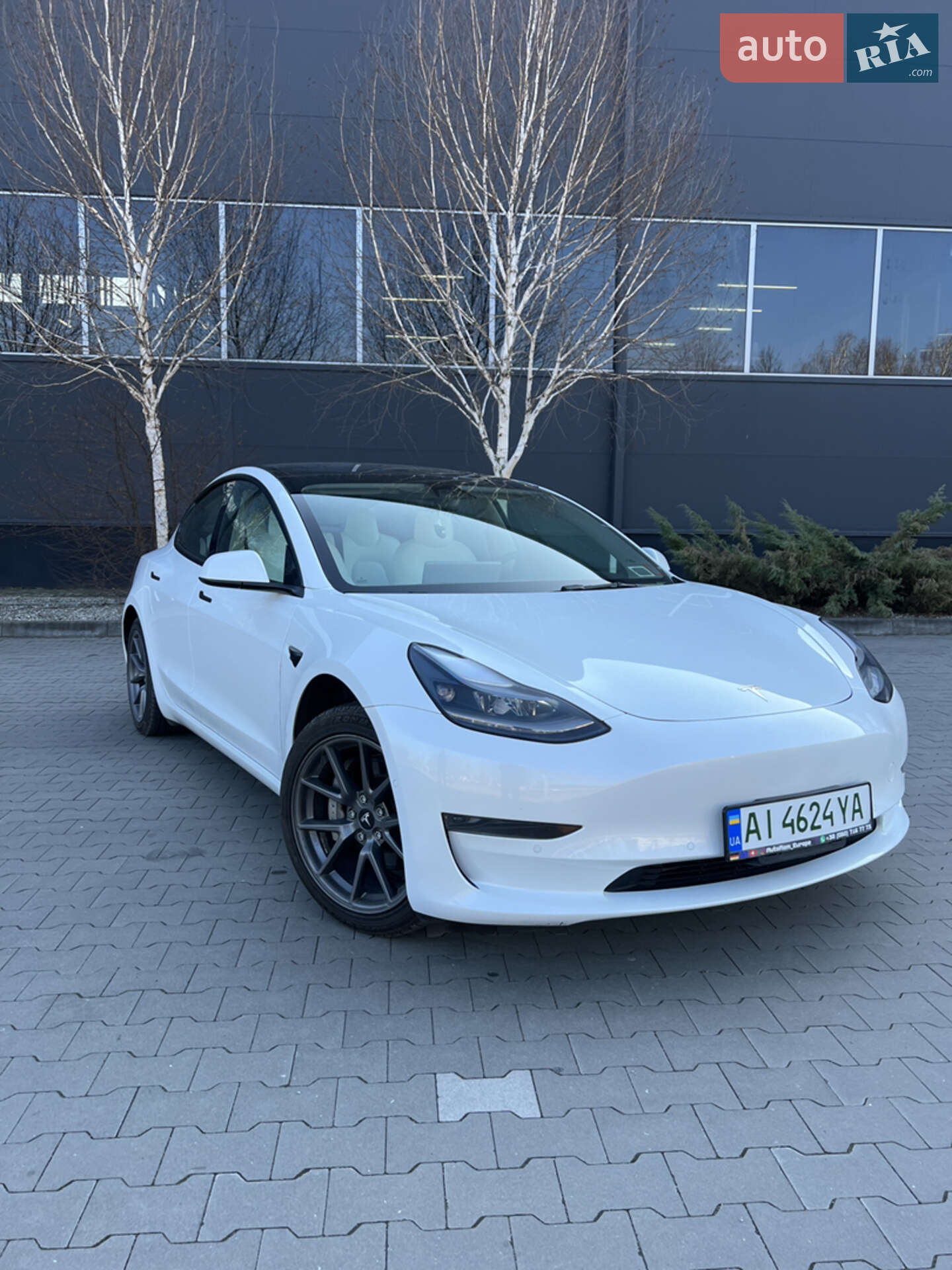 TESLA MODEL 3 2021