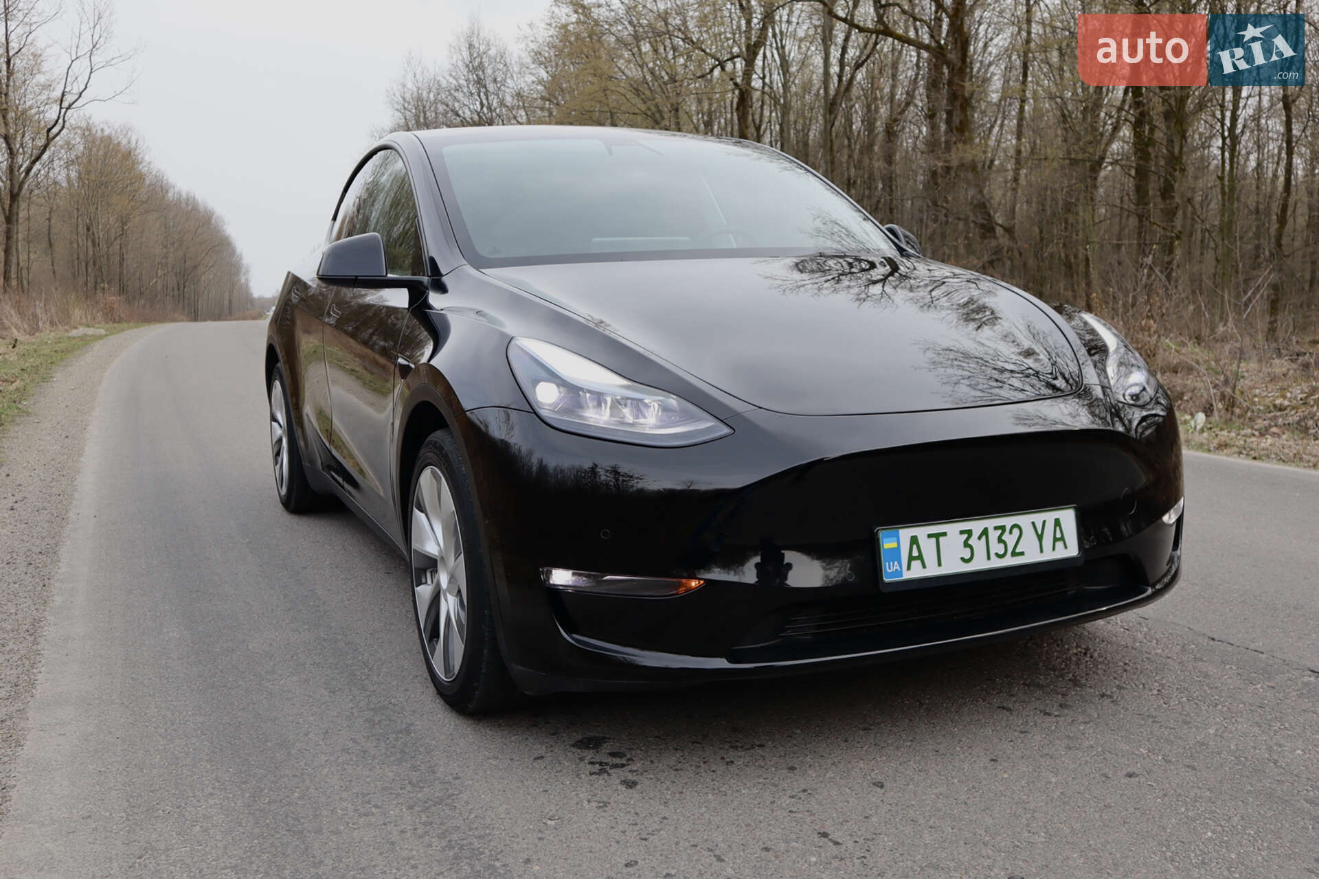 Головне фото звіту автомобіля TESLA MODEL Y 2021