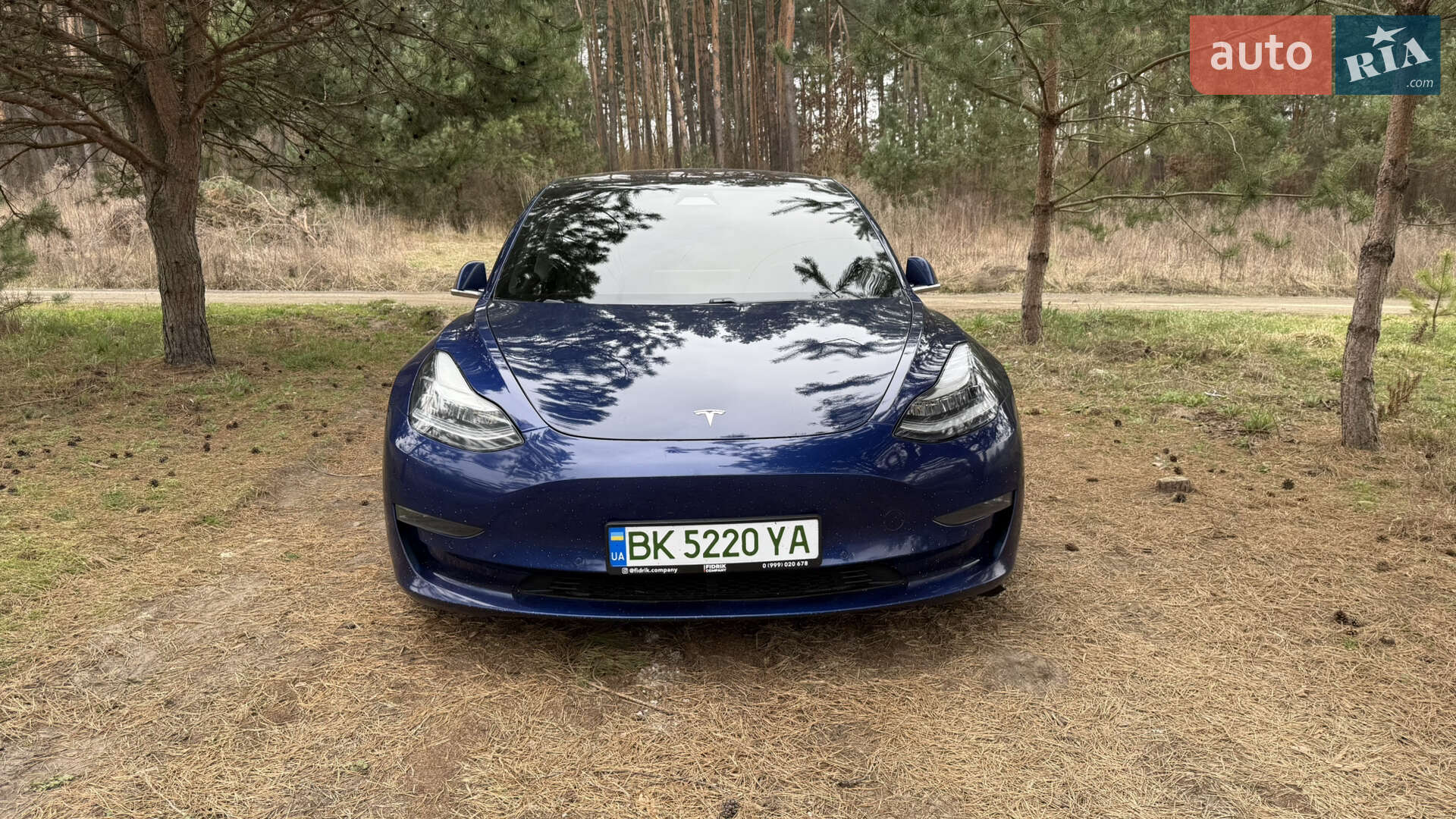 Головне фото звіту автомобіля TESLA MODEL 3 2018